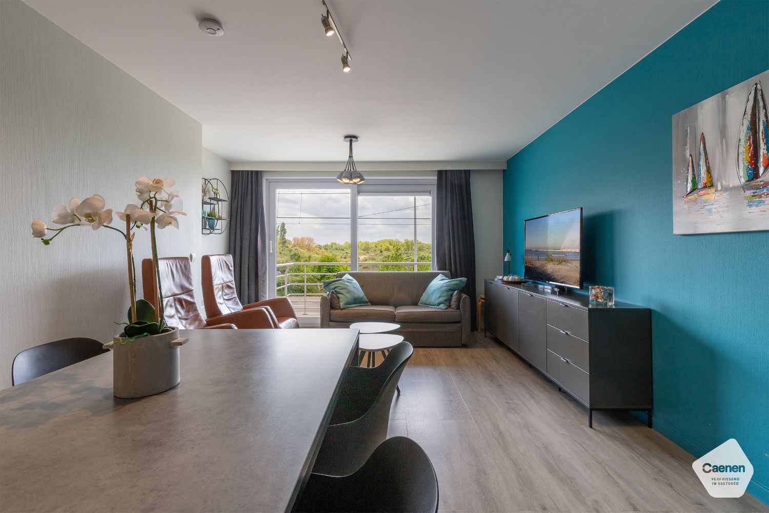 Volledig instapklaar appartement met prachtig zicht op Simliduinen foto 3