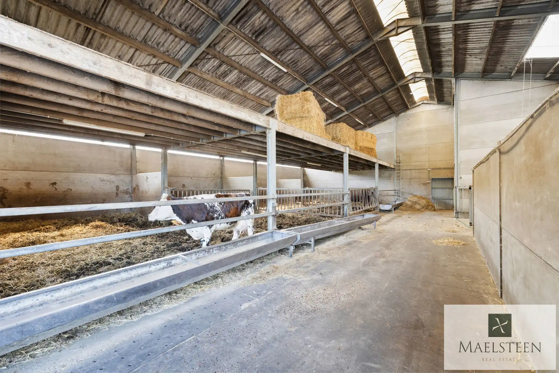 Boerderij op 1,5ha op de flank van Oedelem-berg  foto 38