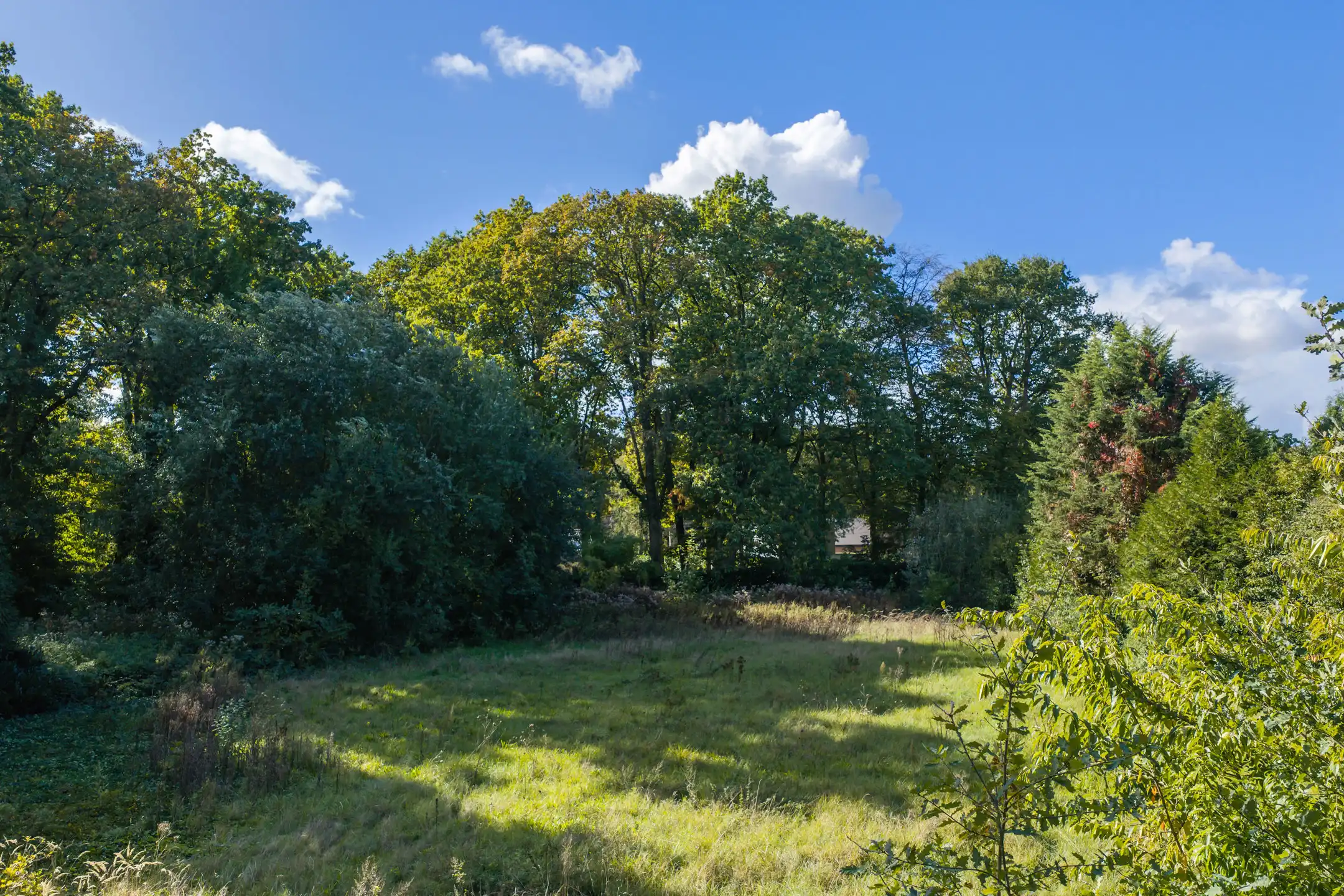 Uniek bouwperceel van 2.963 m² met zuidwestelijke oriëntatie foto 4