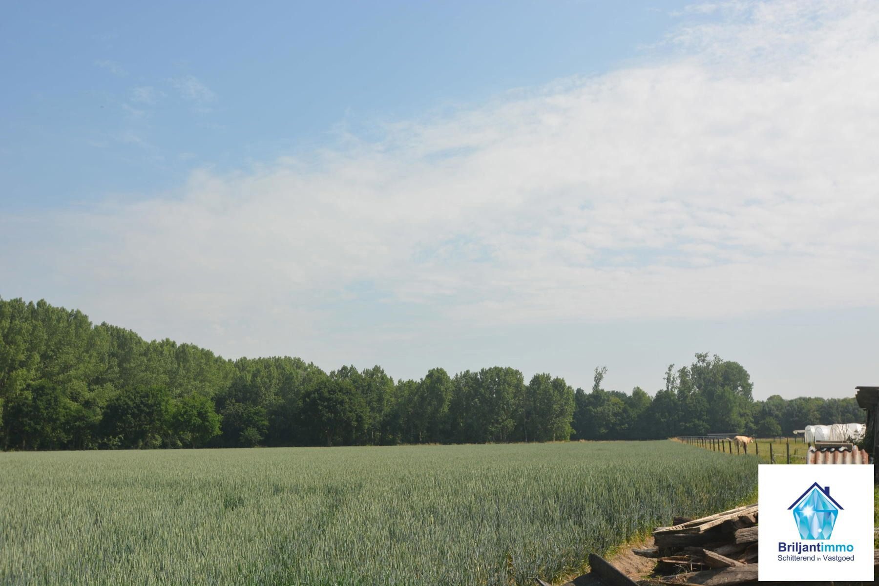Perceel bosgrond van 2620 m² gelegen in Weerde/Zemst foto 2