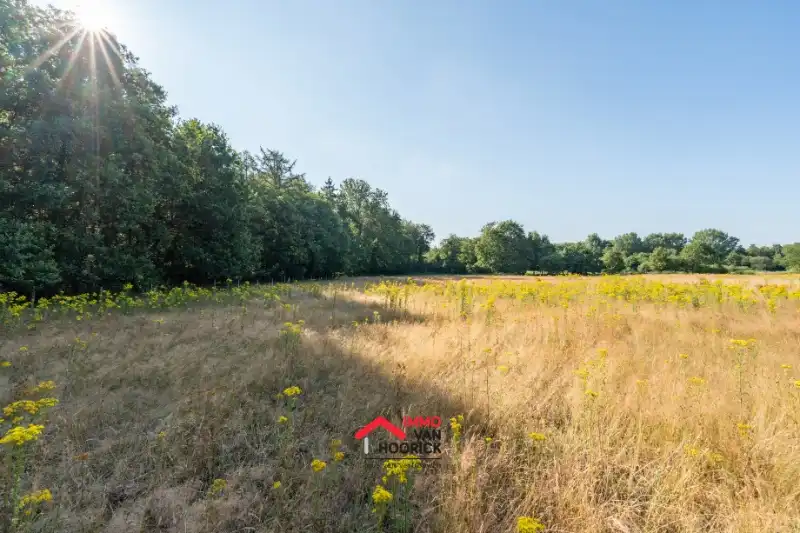 Recreatiegrond van 1381m² te koop - Stekene foto 9