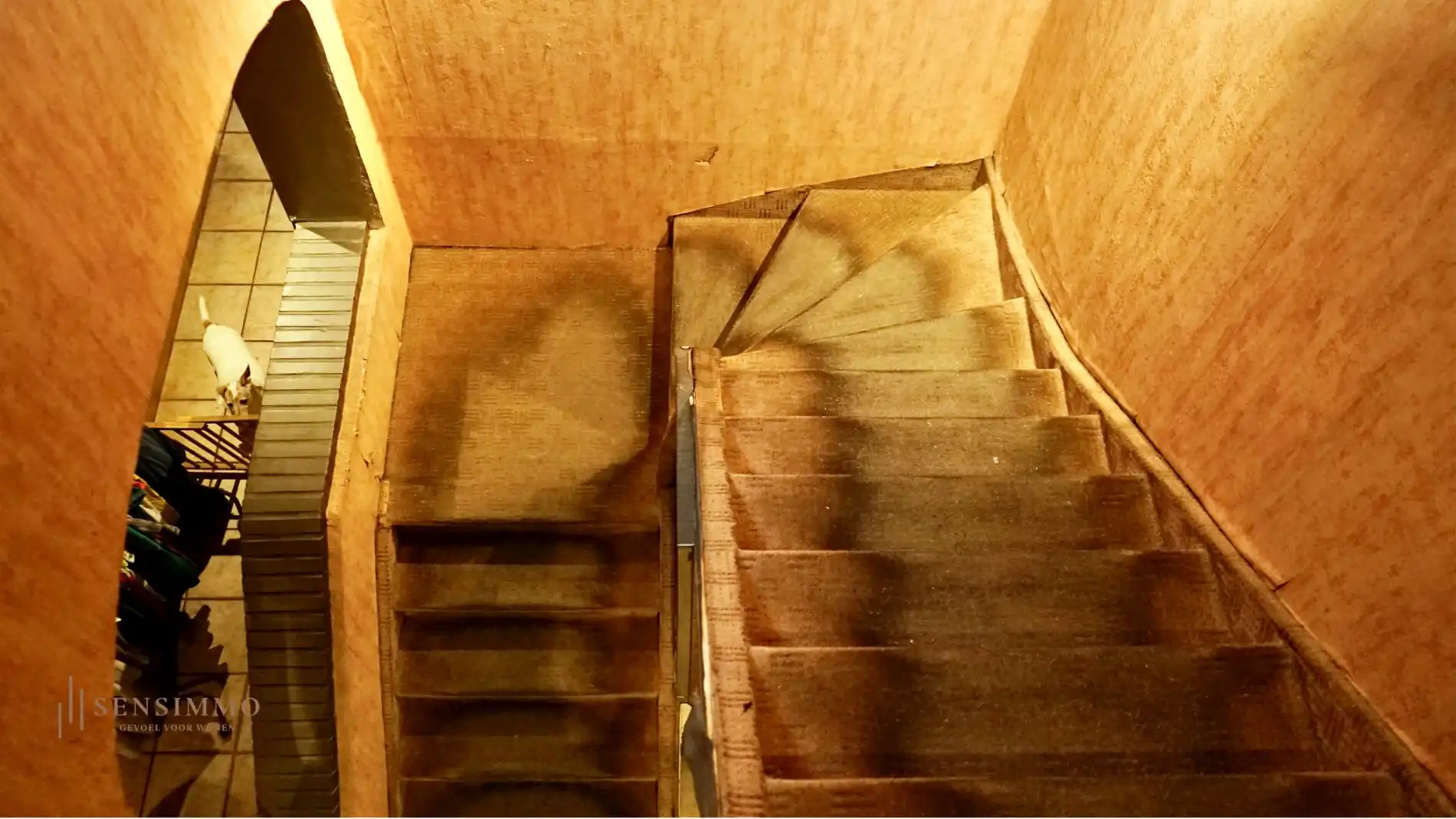 Te renoveren handelshuis/Bakkerij met inboedel nabij LABIOMISTA foto 16