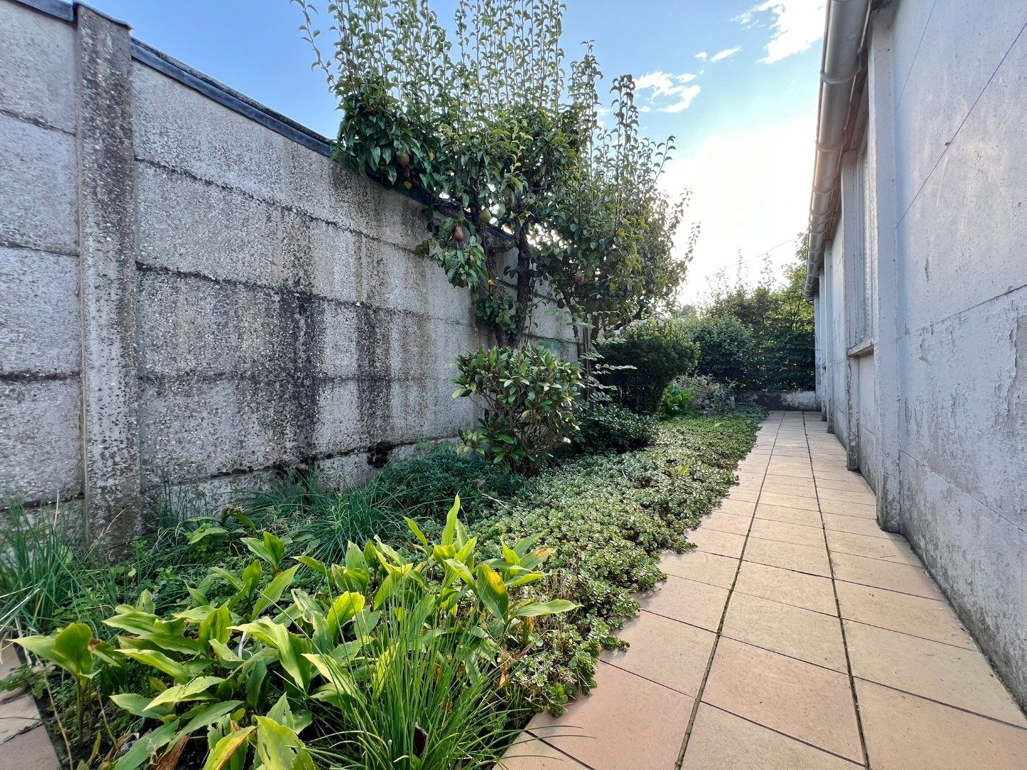 Rijwoning met zonnige tuin in de dorpskern. foto 16