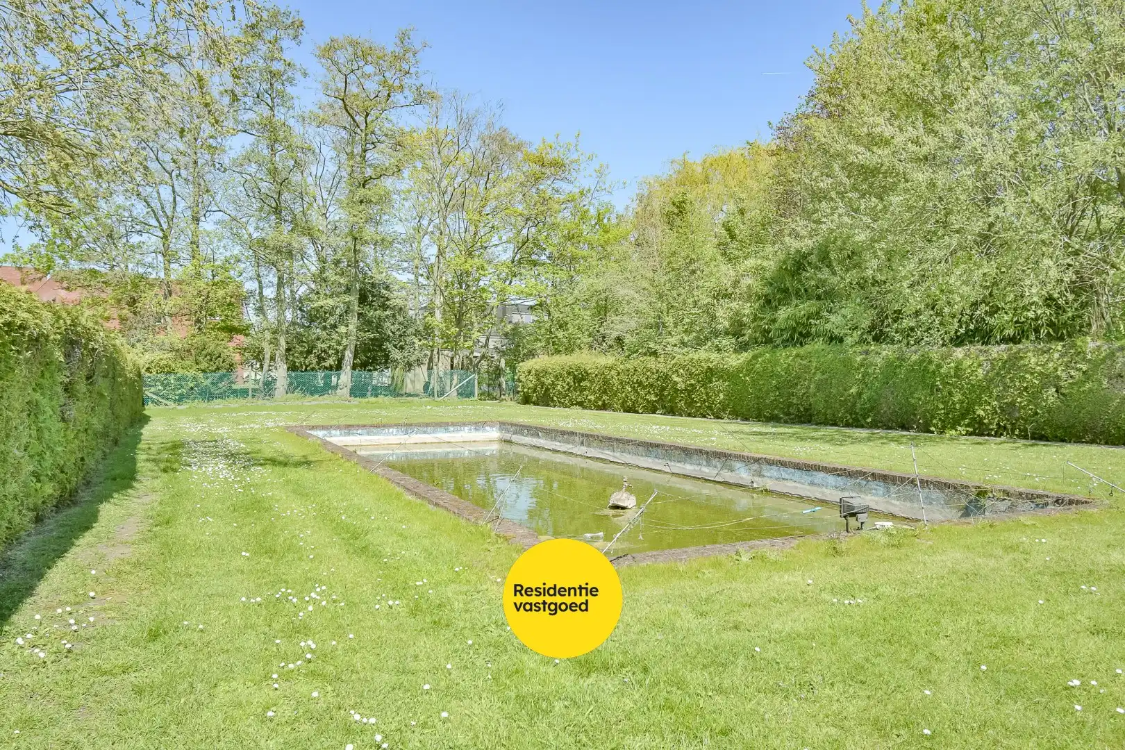 KIJKDAG zaterdag 9/05 van 10u tot 12u, op afspraak! foto 22