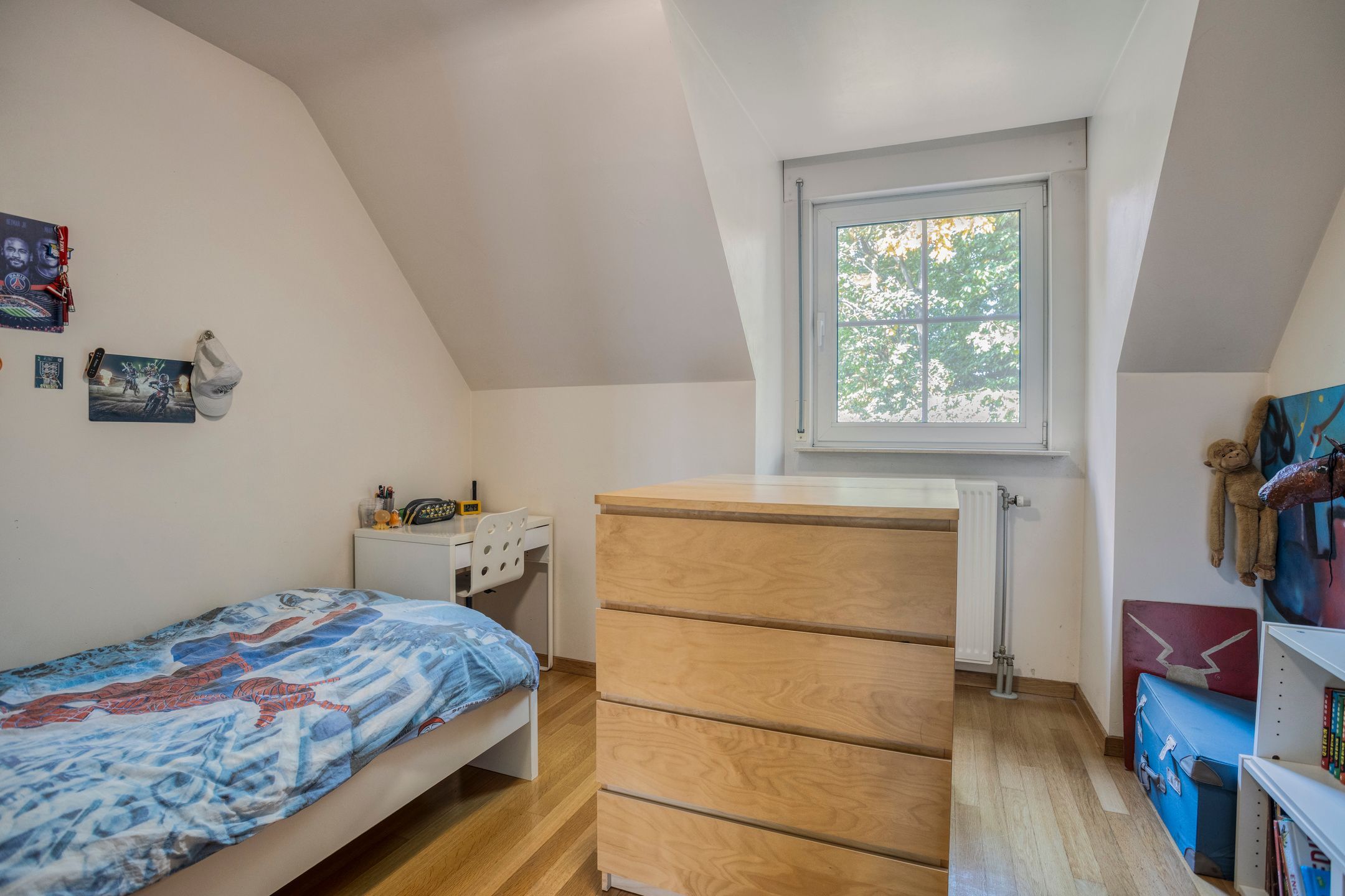 Geweldig groen en groots: wonen in een verborgen parel foto 20