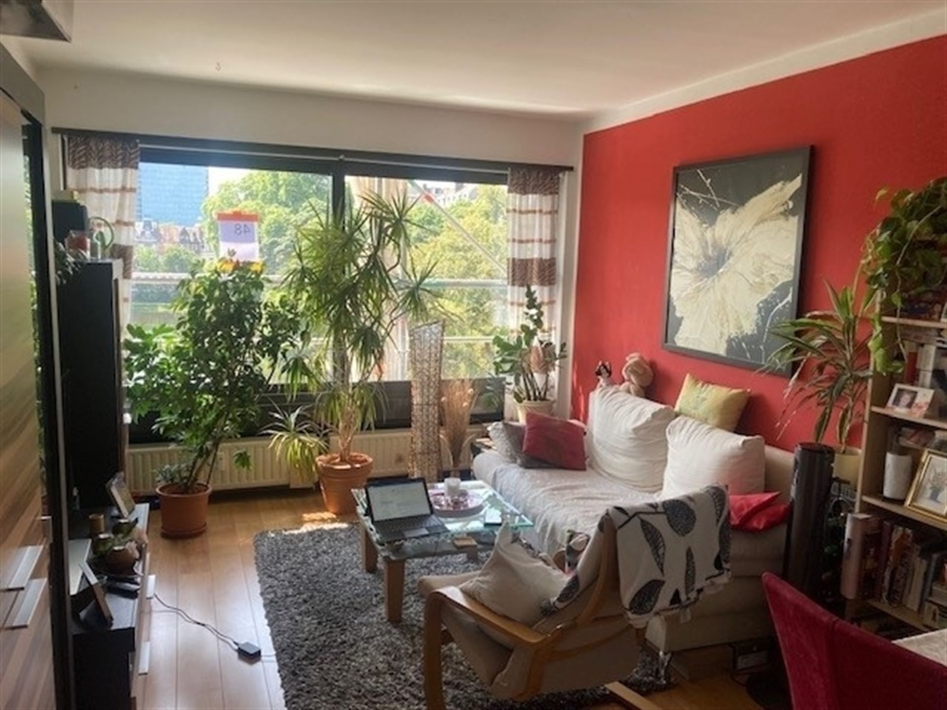Lichtrijk 1 SK appartement - EU wijk  foto 3
