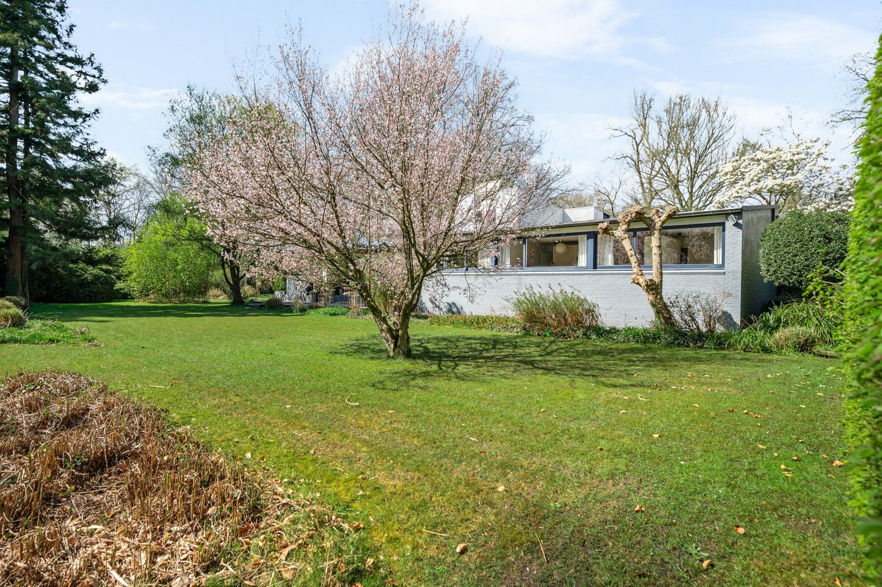 Laagbouwvilla op domein van 4.953 m² foto 22