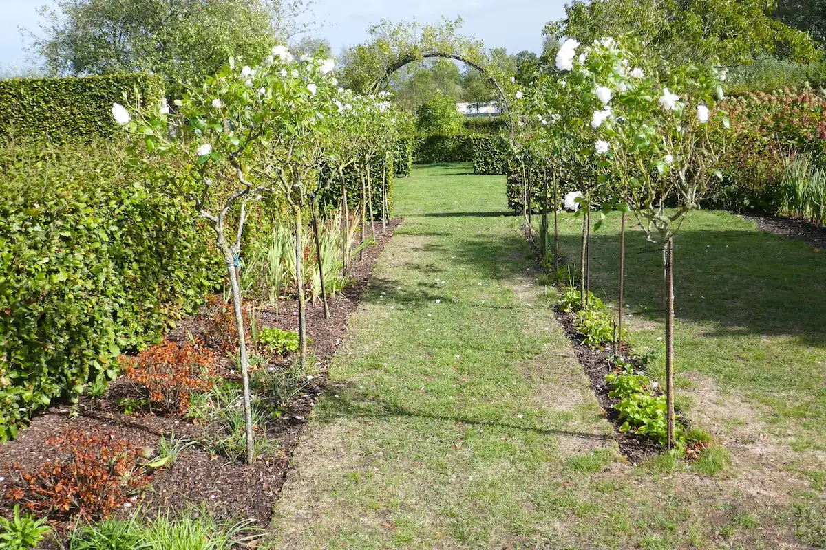 Charmante villa met kangoeroewoning of home office foto 24