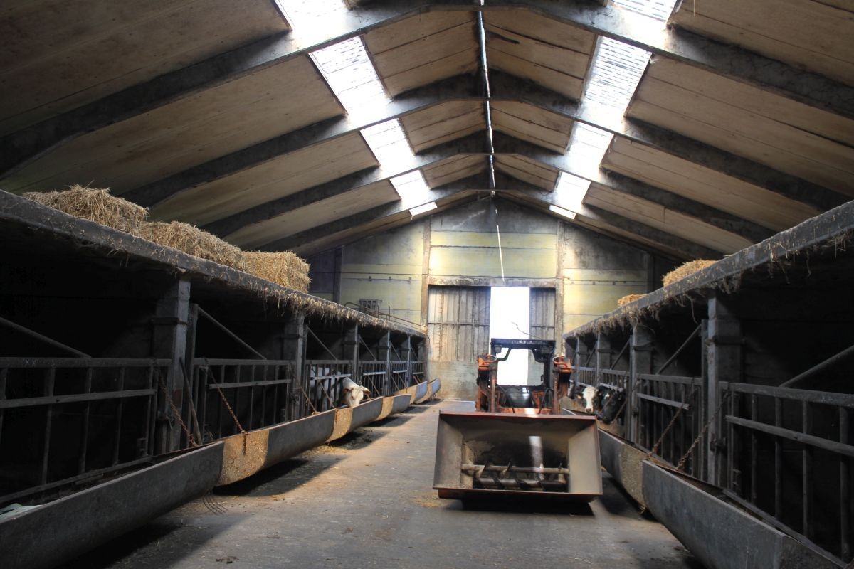 Hoeve met ruime stallen/loods te koop te Kortemark foto 12
