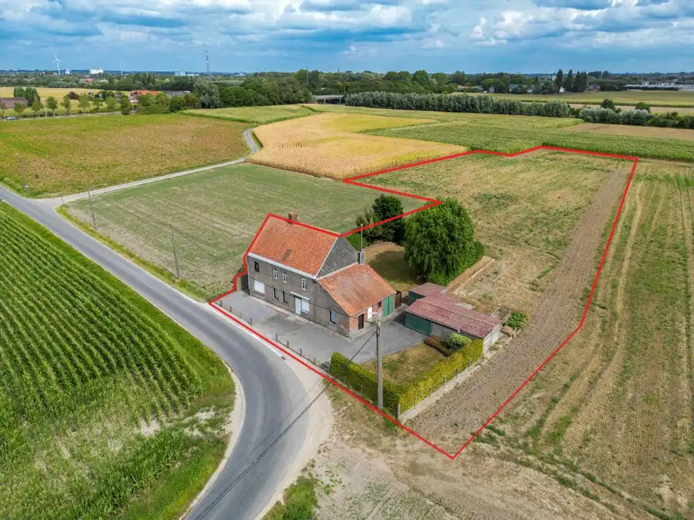 Landelijke woning/bouwgrond met verzichten - Oekene foto 6