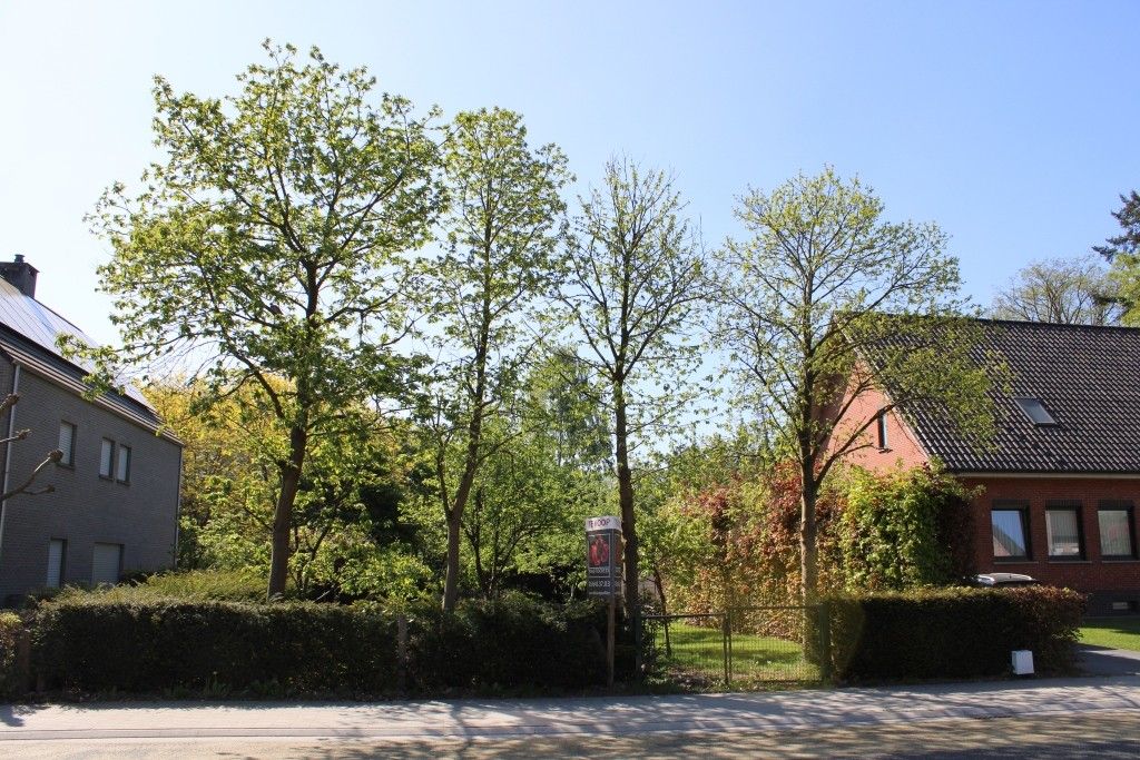Zeer mooie bouwgrond op gunstige ligging foto 4