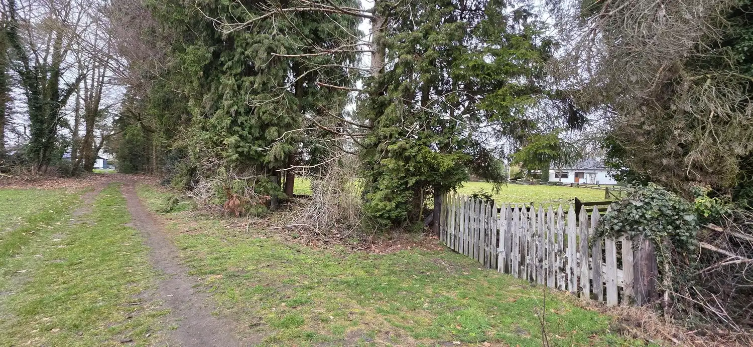 Uniek gelegen vrijstaande gezinswoning met 3 slaapkamers midden in de natuur op een perceel van 54 are in As centrum! foto 60
