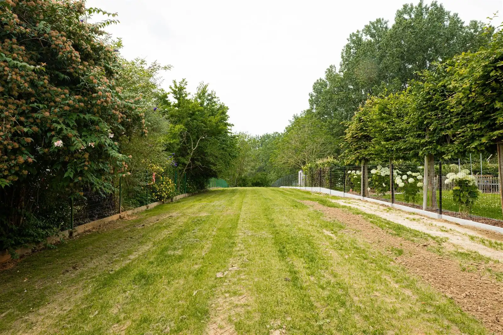 Gerenoveerde woning te Erwetegem (Zottegem)! foto 11