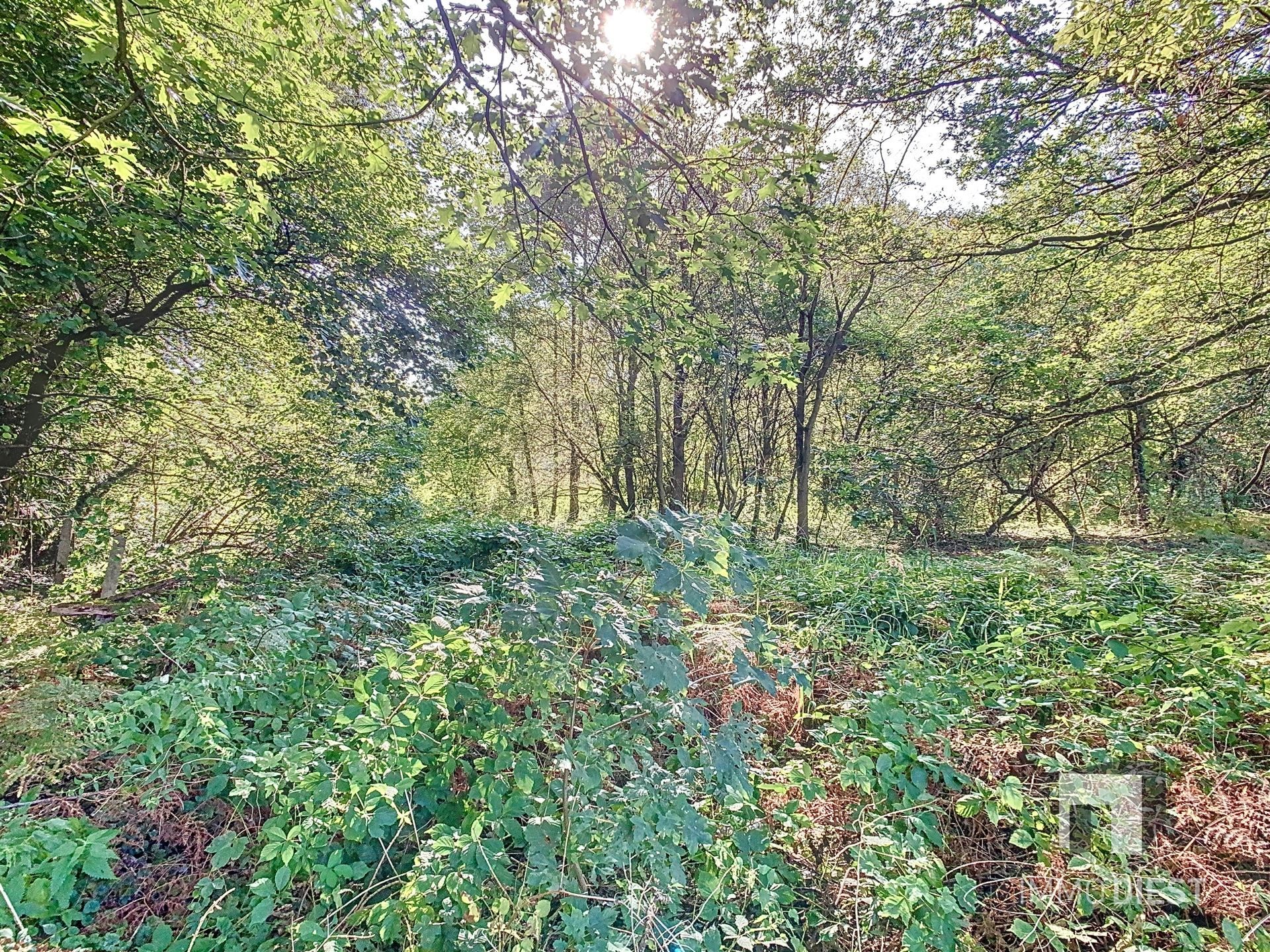 Grond met een oppervlakte van 79a 45ca - natuurgebied foto 2