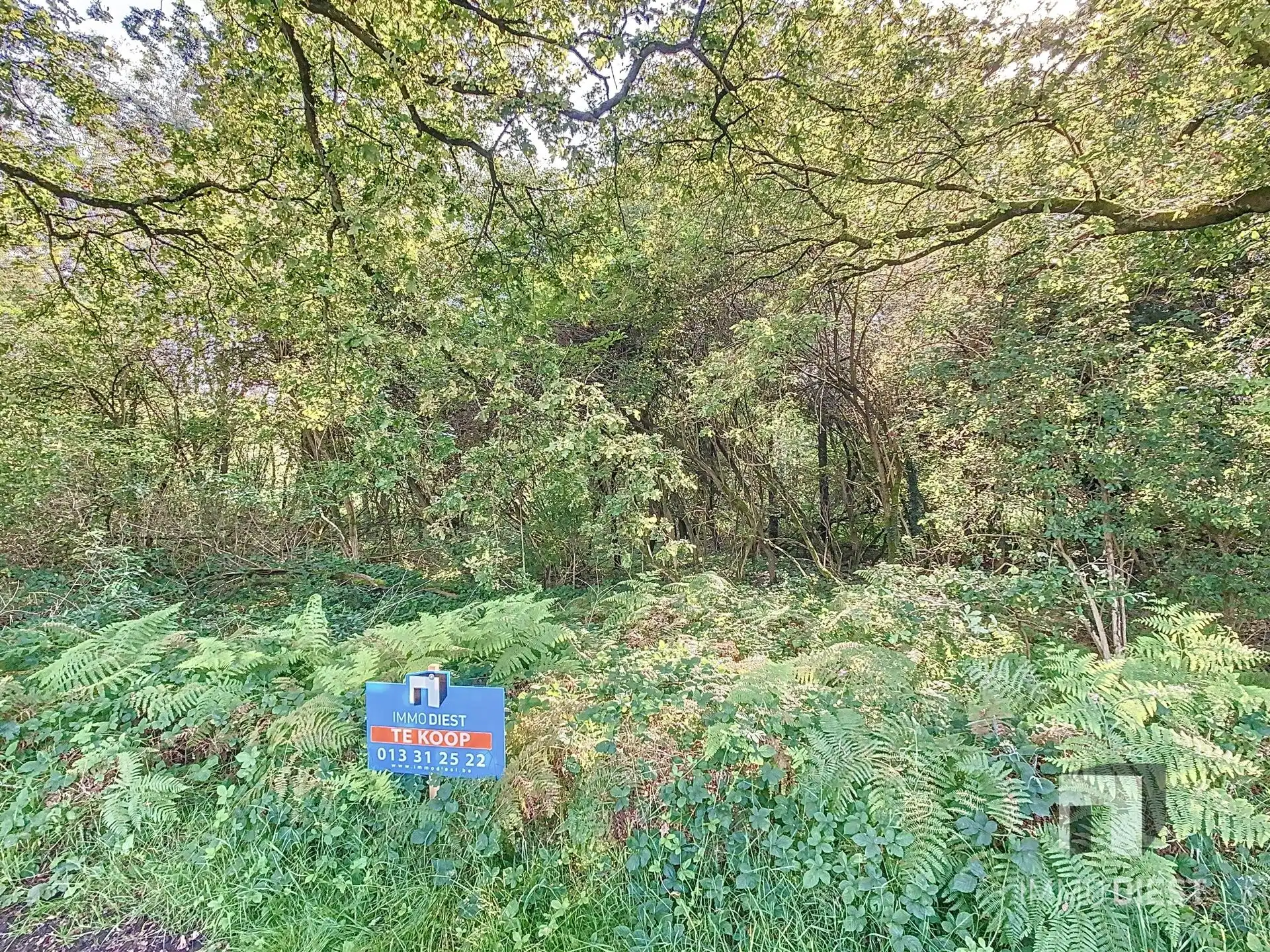 Grond met een oppervlakte van 79a 45ca - natuurgebied foto 2