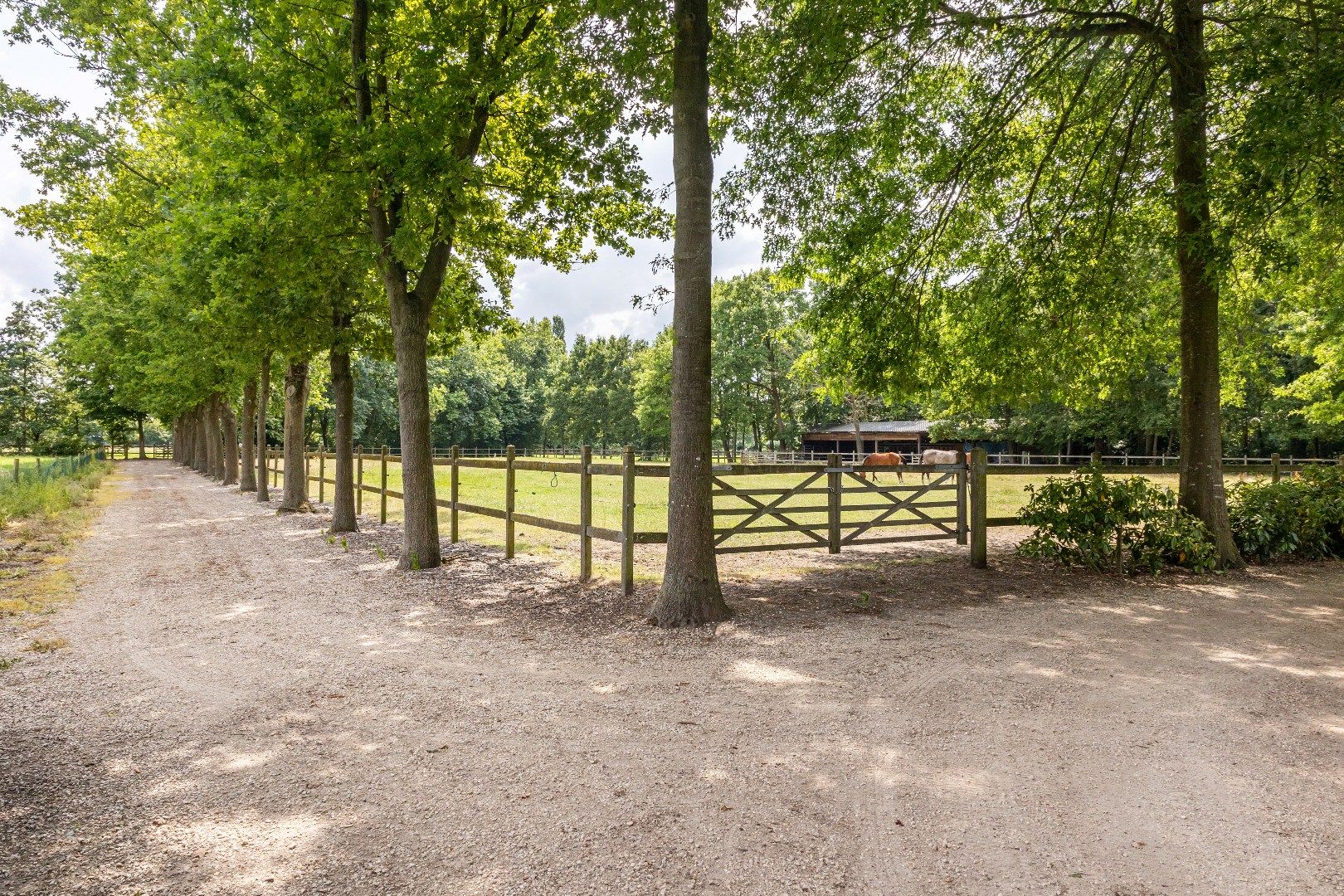 Prachtige landelijke villa met gezinstuin en graslanden op 32.558m² foto 39
