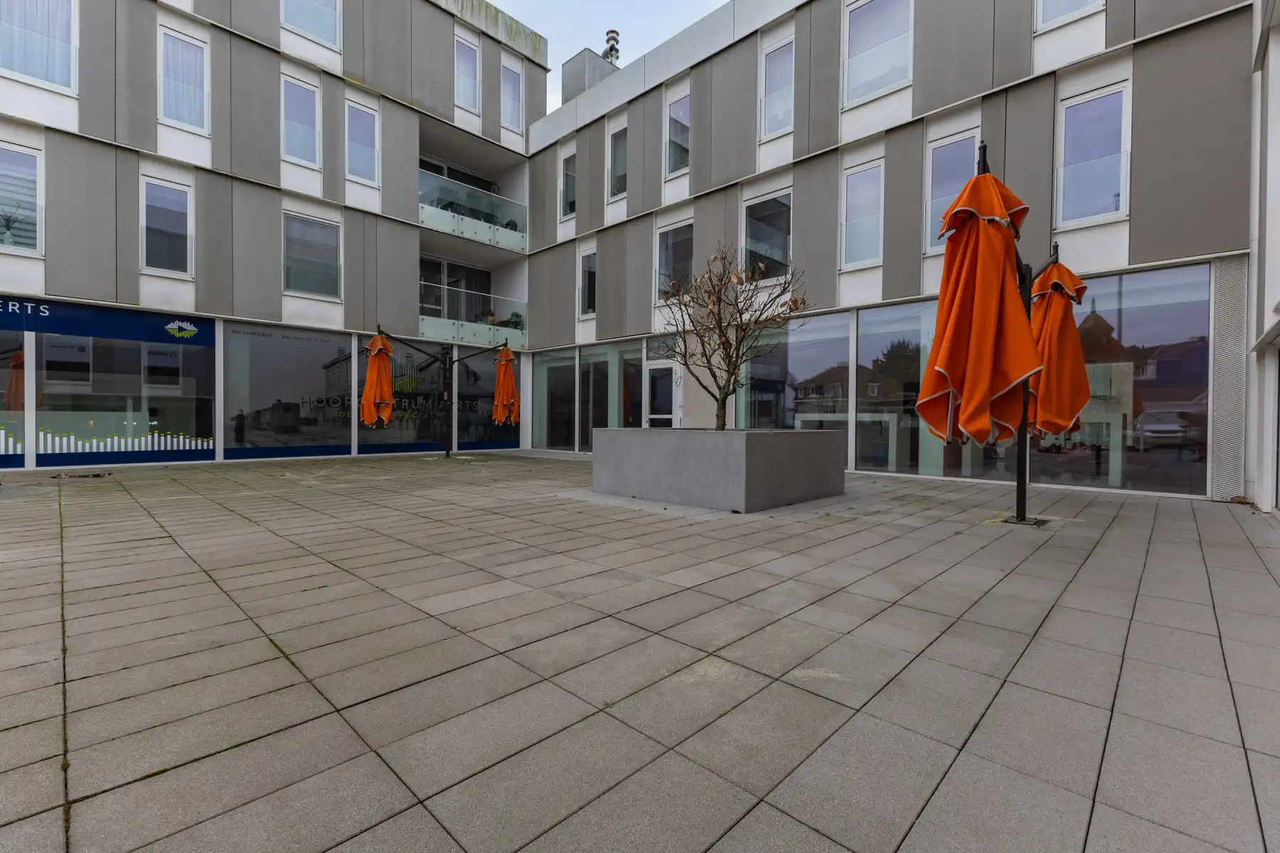 Commercieel gelijkvloers (182 m2) met terras (256 m2) foto 2