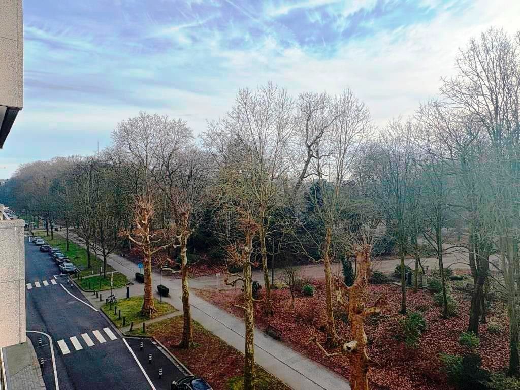 Parkzicht-appartement met drie slaapkamers en twee terrassen. foto 16