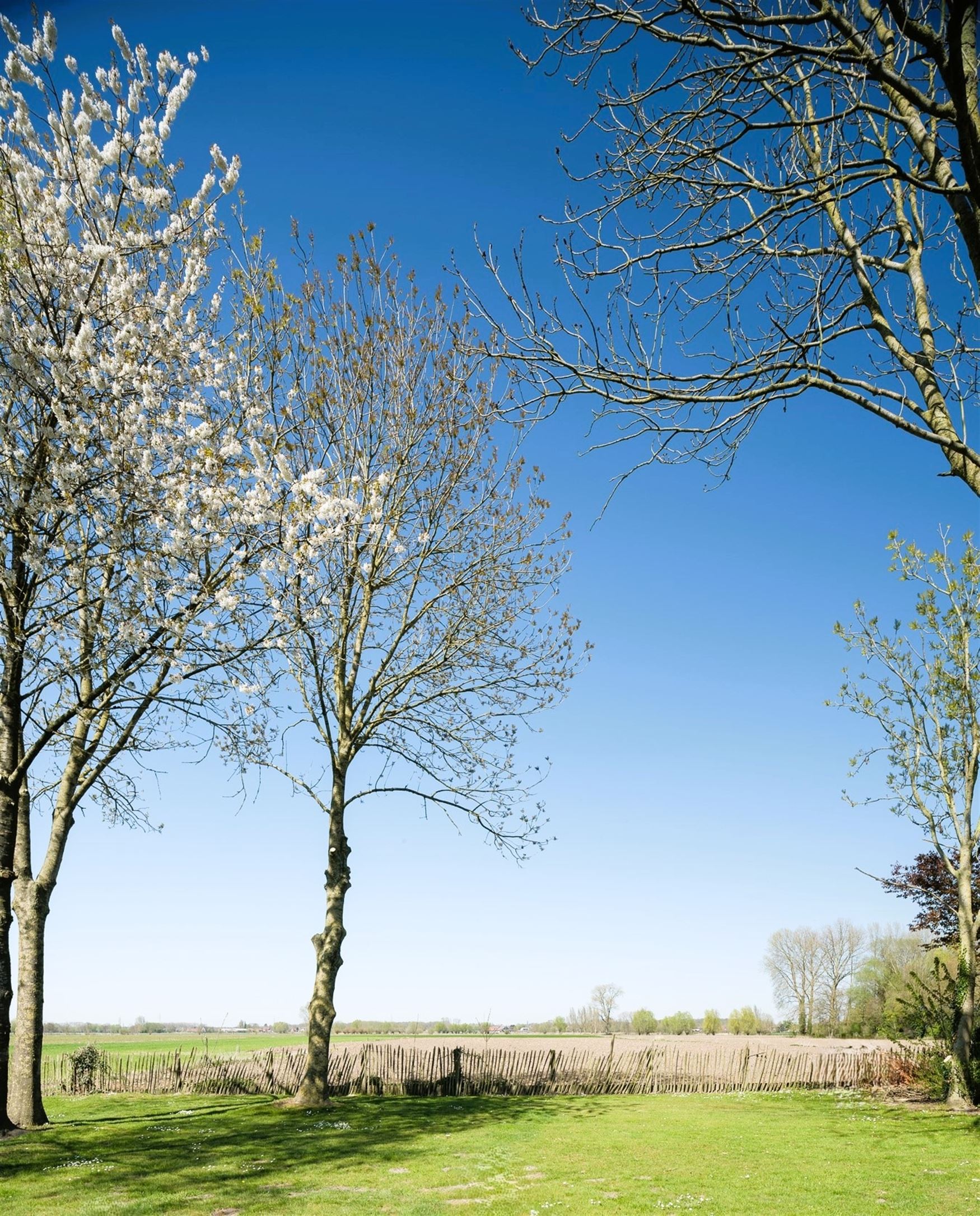 Charmant wonen met landschappelijke vergezichten foto 3