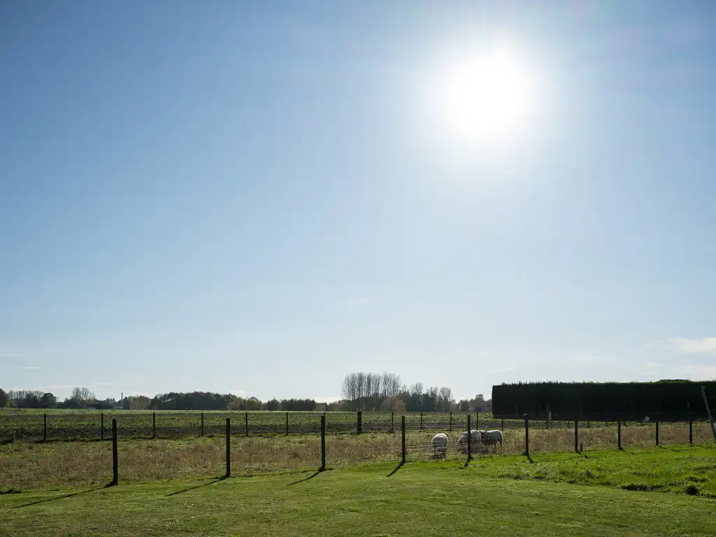 Karaktervolle gerenoveerde hoeve met zwembad en wijngaard op 4.700 m² te Vurste foto 26