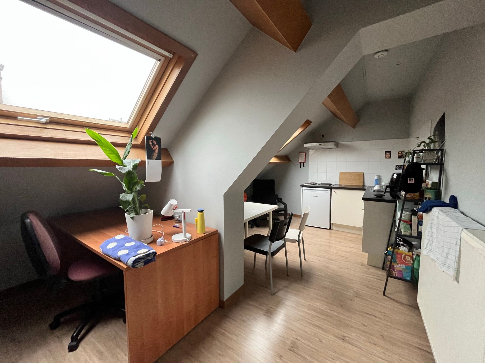 ()=>{if(producerUpdateValueVersion(node),producerAccessed(node),node.value===ERRORED)throw node.error;return node.value} Zwijnaardsesteenweg 15/kamer 8 - 9000 Gent