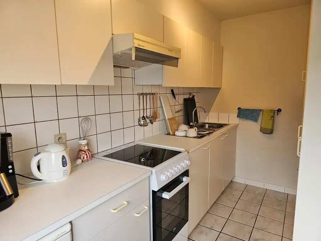 Gezellig dakappartement met 1 slaapkamer. foto 2