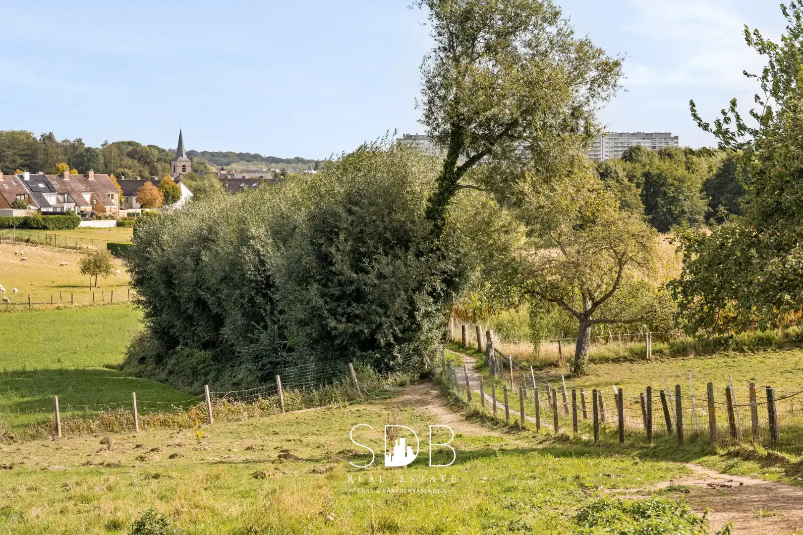 Prachtige landelijke hoeve woning met gezinstuin en graslanden op 1hectare foto 31