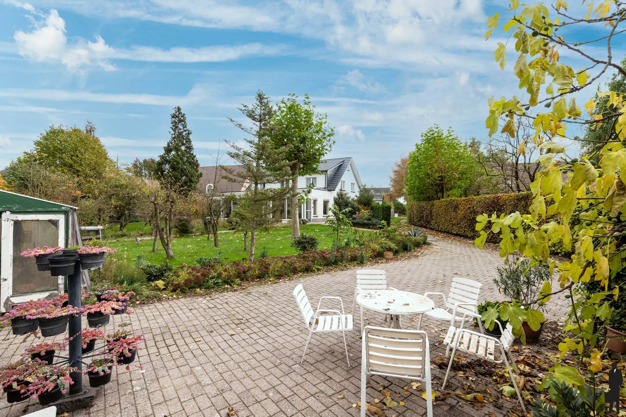 Woning op riant perceel van 8.906m² met vele mogelijkheden foto 19