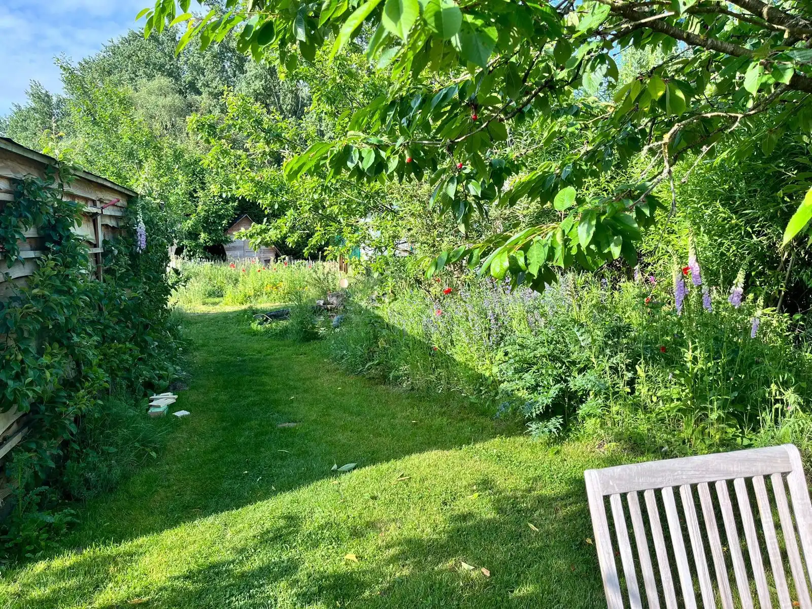 Unieke HOB met 3 slaapkamers op 4a 63ca! foto 2