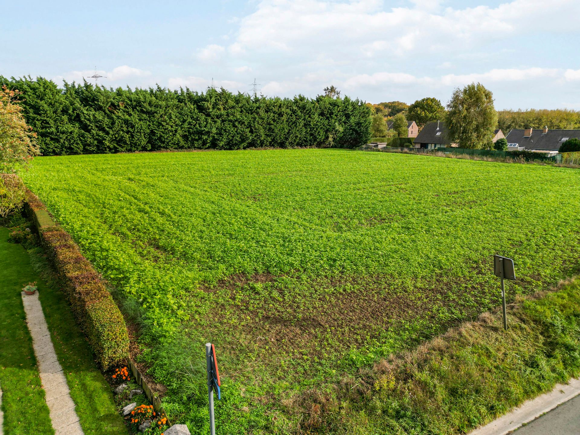 🌳 Investeringsperceel van 50a met verkavelingspotentieel foto 5