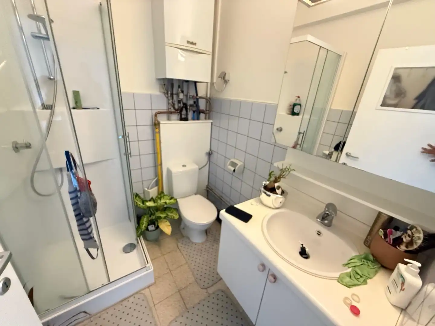 OPBRENGSTEIGENDOM foto 6