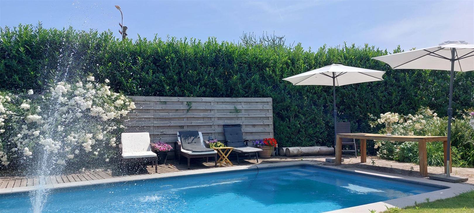 Exclusieve villa op riant hoekdomein in Eksaarde  foto 6