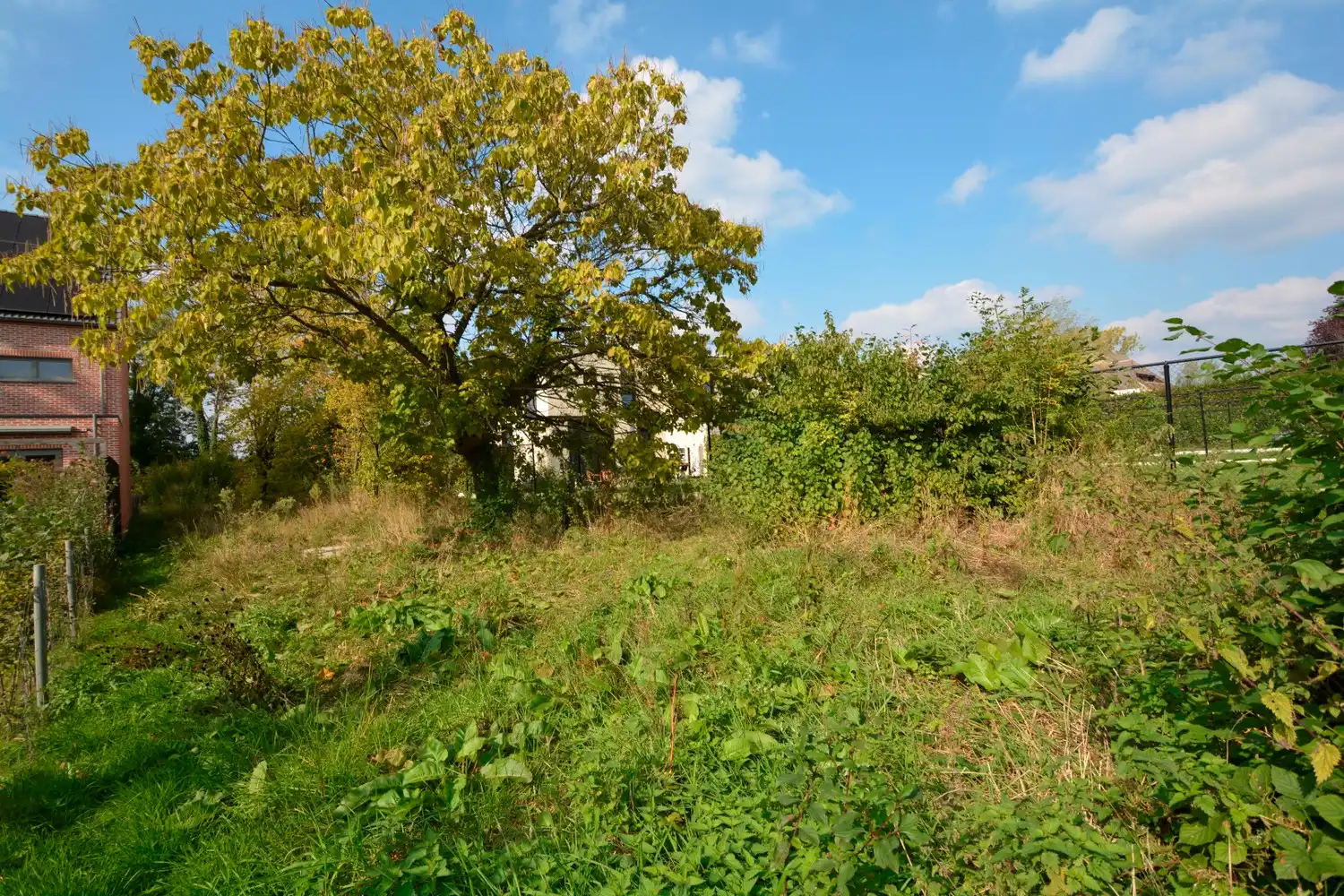 BOUWGROND (688 m²) VOOR H.O.B. OP TOPLOCATIE TE OELEGEM! foto {{pictureIndex}}