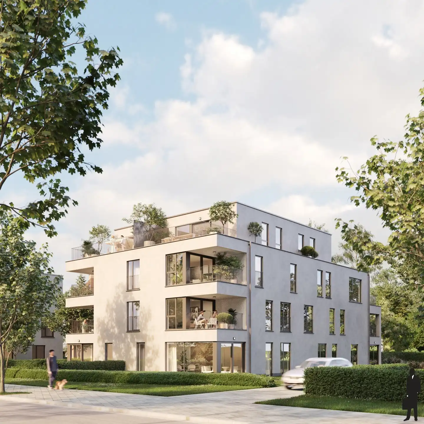 GROTE MEIBOOM: In hartje Ravels en 6% BTW mogelijk!  foto 2