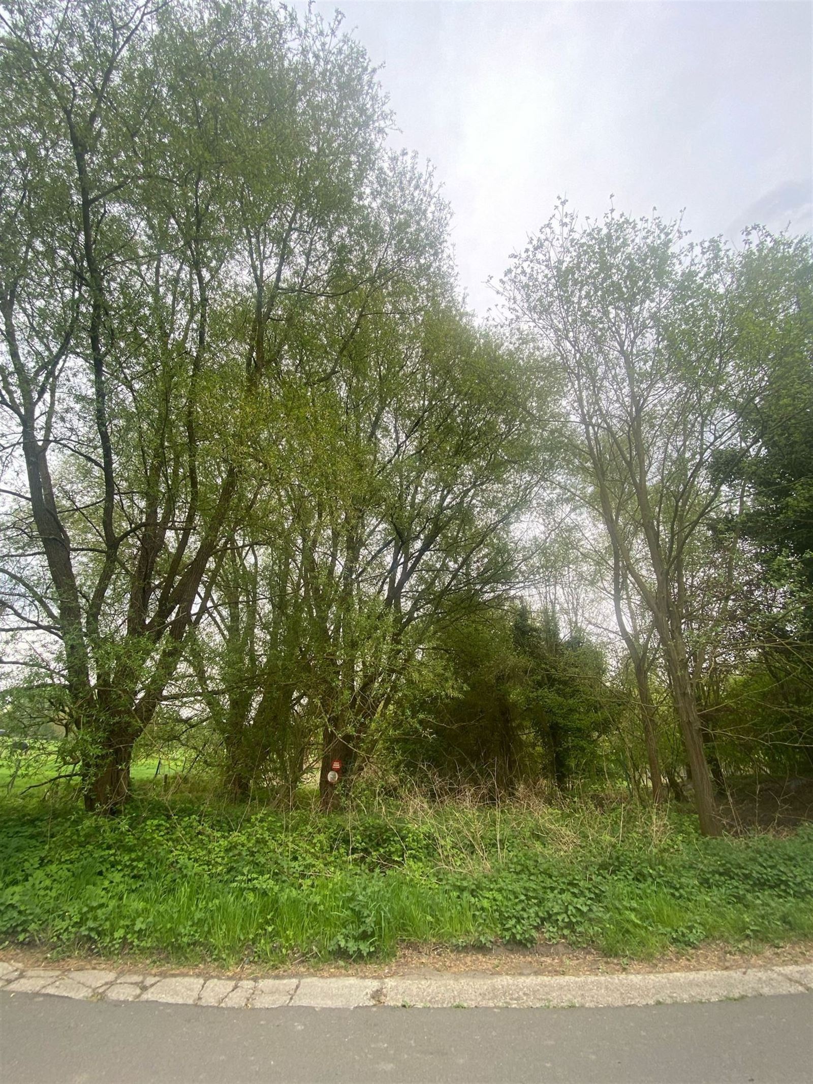 Natuurgebied in Asse foto 3