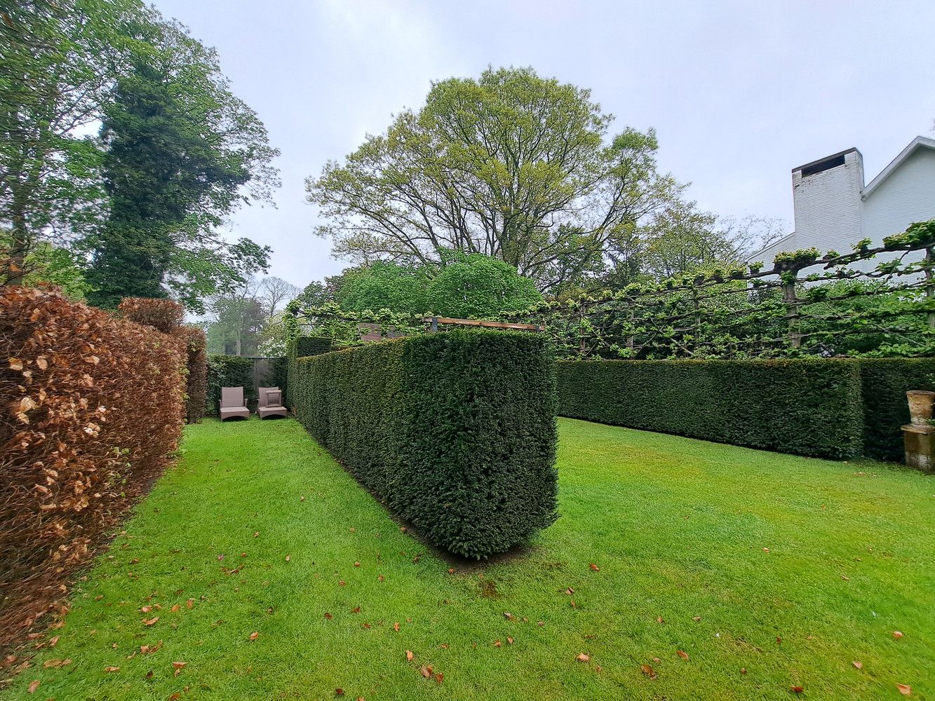 Ruime gezinswoning in Kapellen foto 32