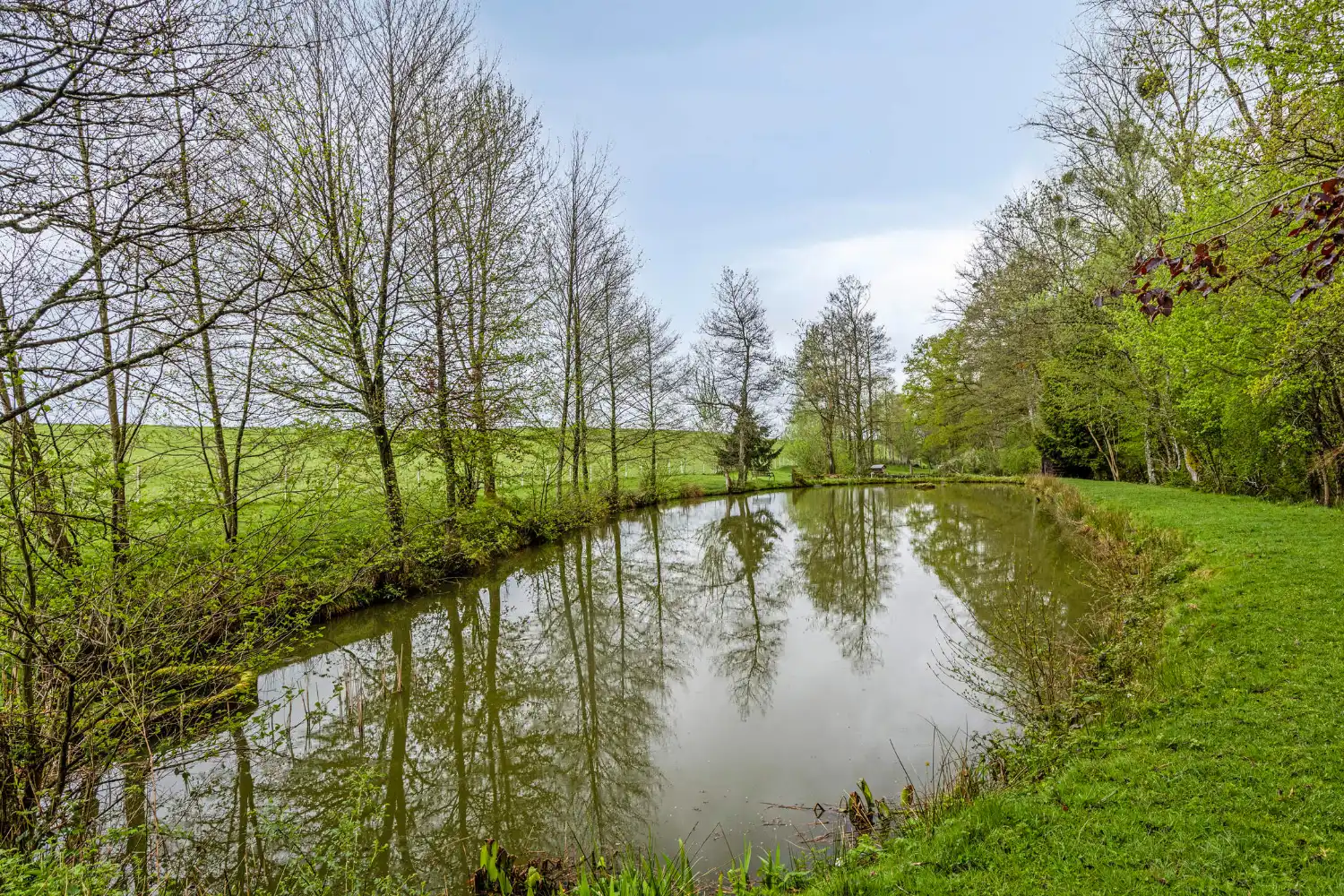 Karaktervolle en zeer ruime woning met Gîte en Chambre d’Hôtes foto 22