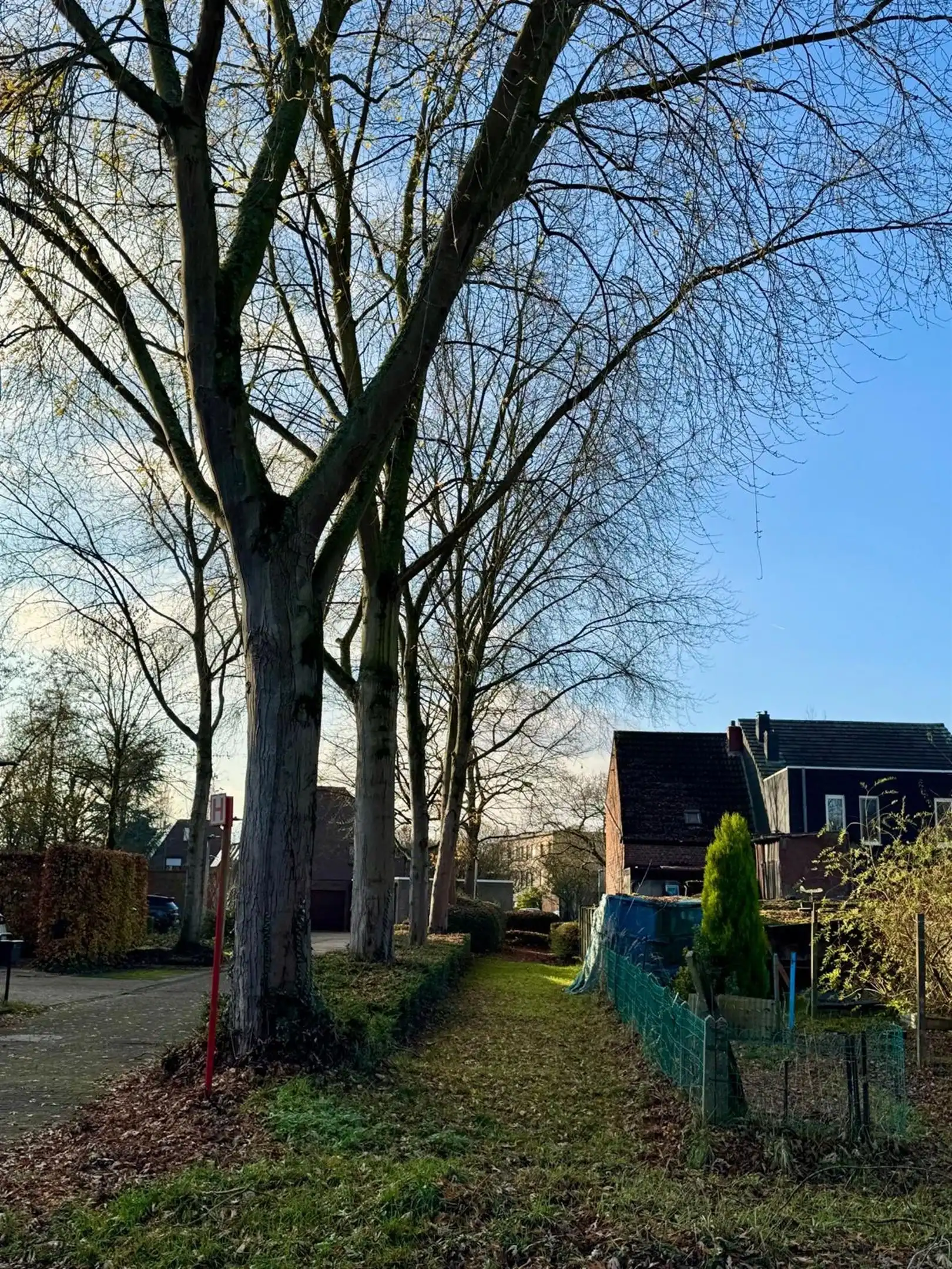 Te renoveren hoekwoning met uitbreidingspotentie foto 20
