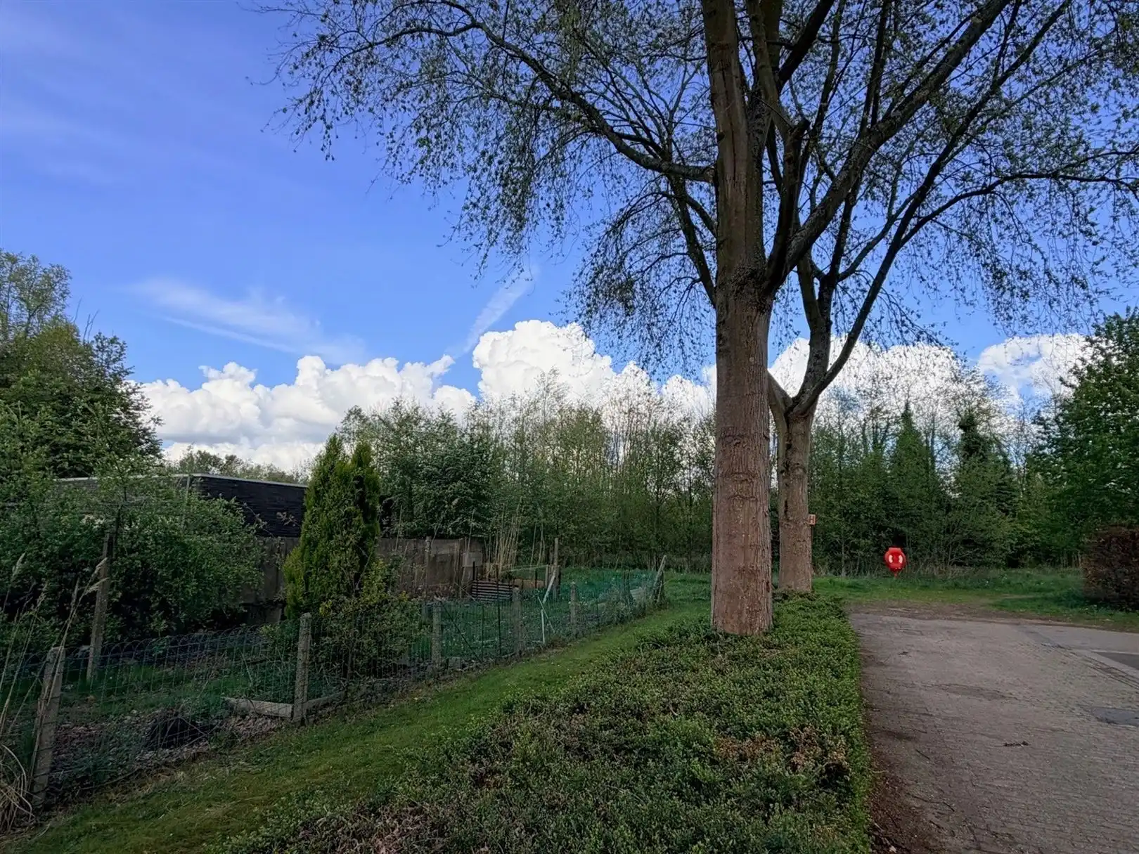 Te renoveren hoekwoning met uitbreidingspotentie foto 20