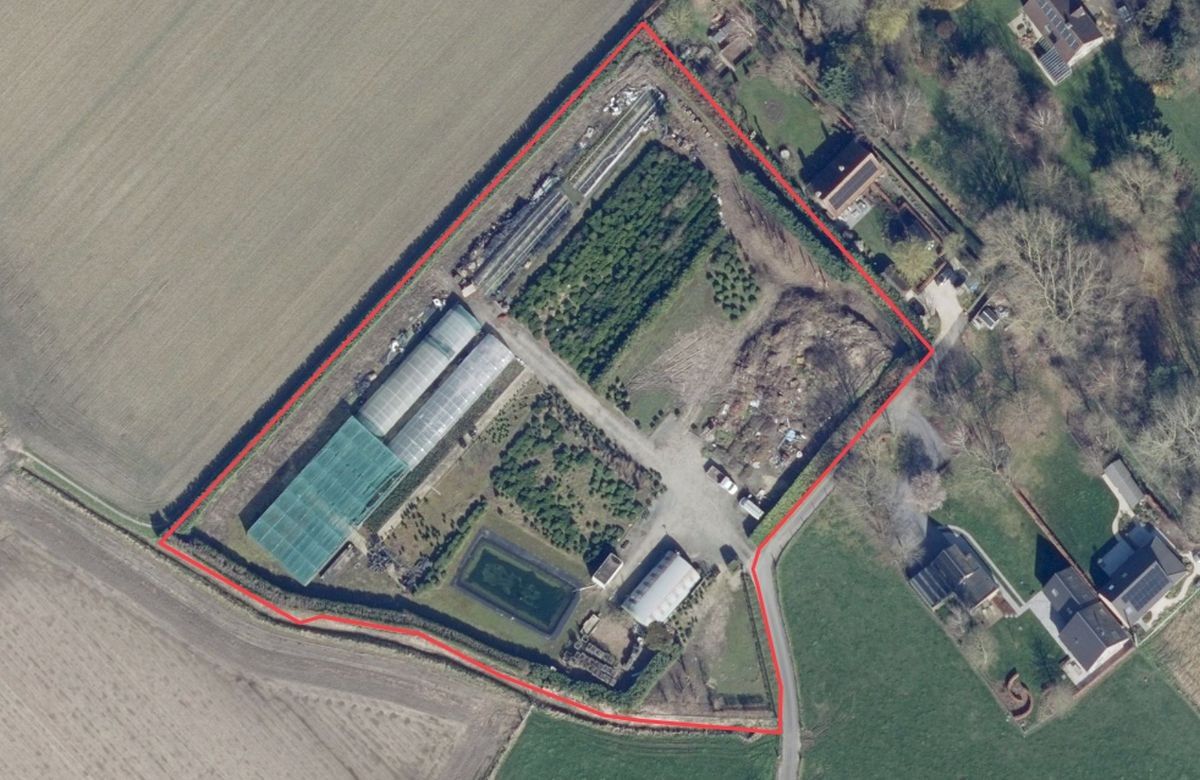 Plantenkwekerij te koop te Zwevegem foto 16