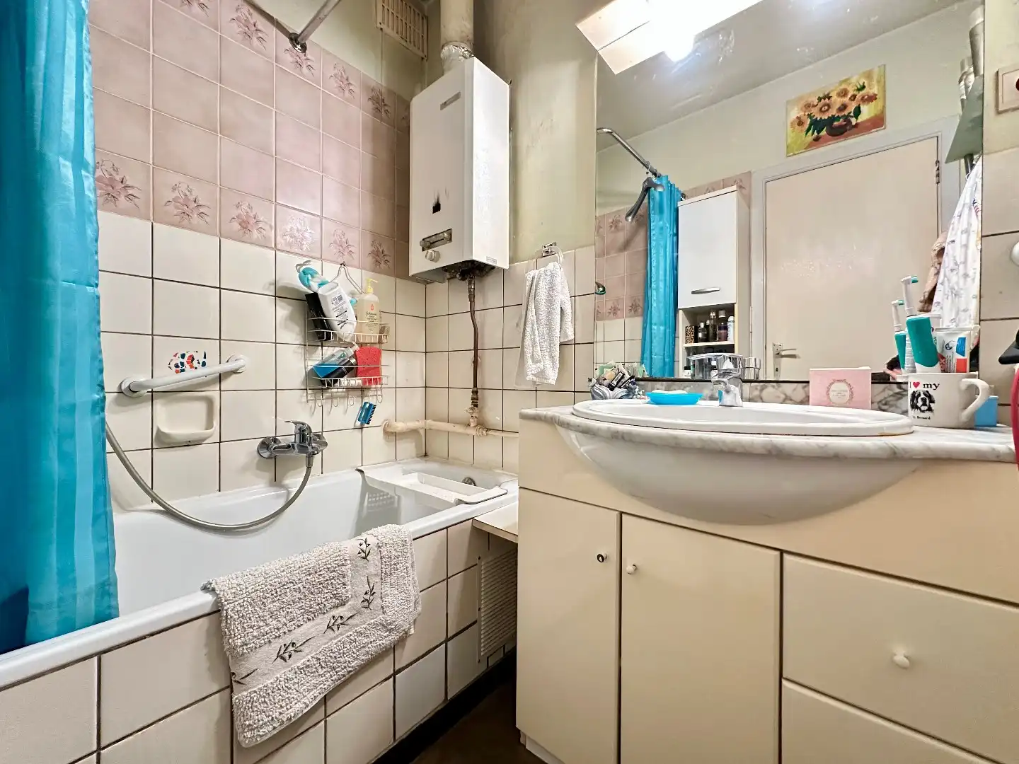 Halfopen woning met ruime tuin in Tongeren foto 8