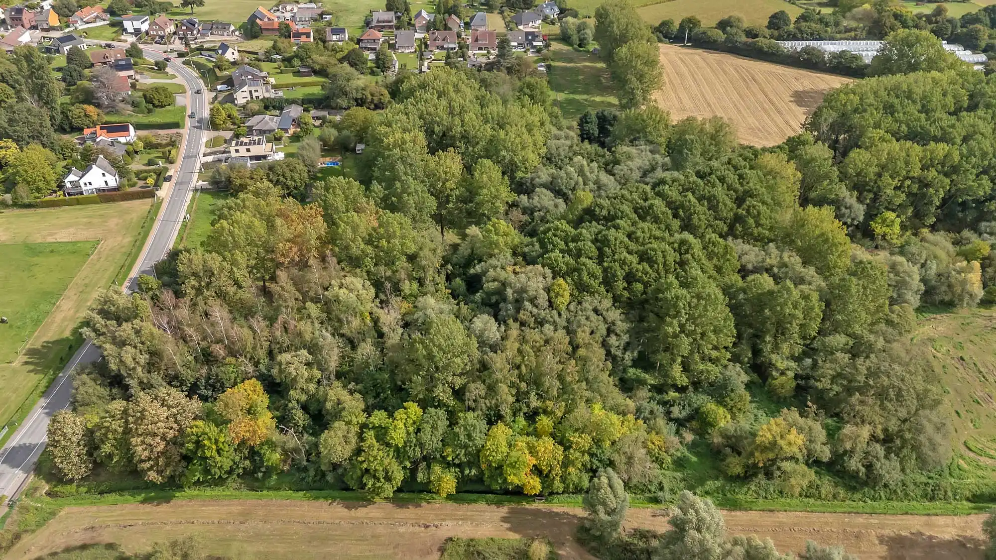 Perceel bosgrond van 5914 m² in Lennik foto 6