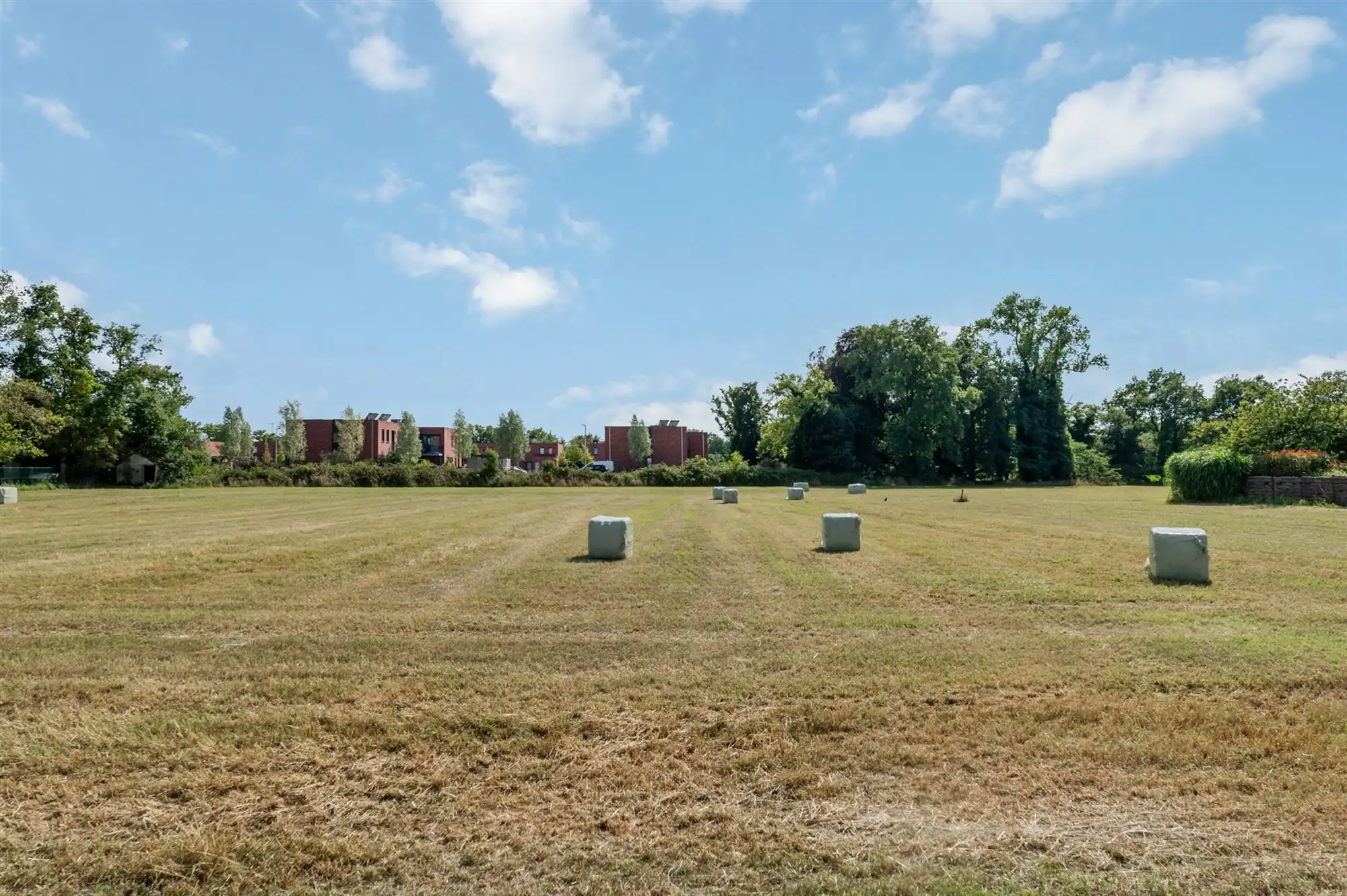 MOOIE BOUWGROND OB VAN 1055M² TE BALEN foto 3