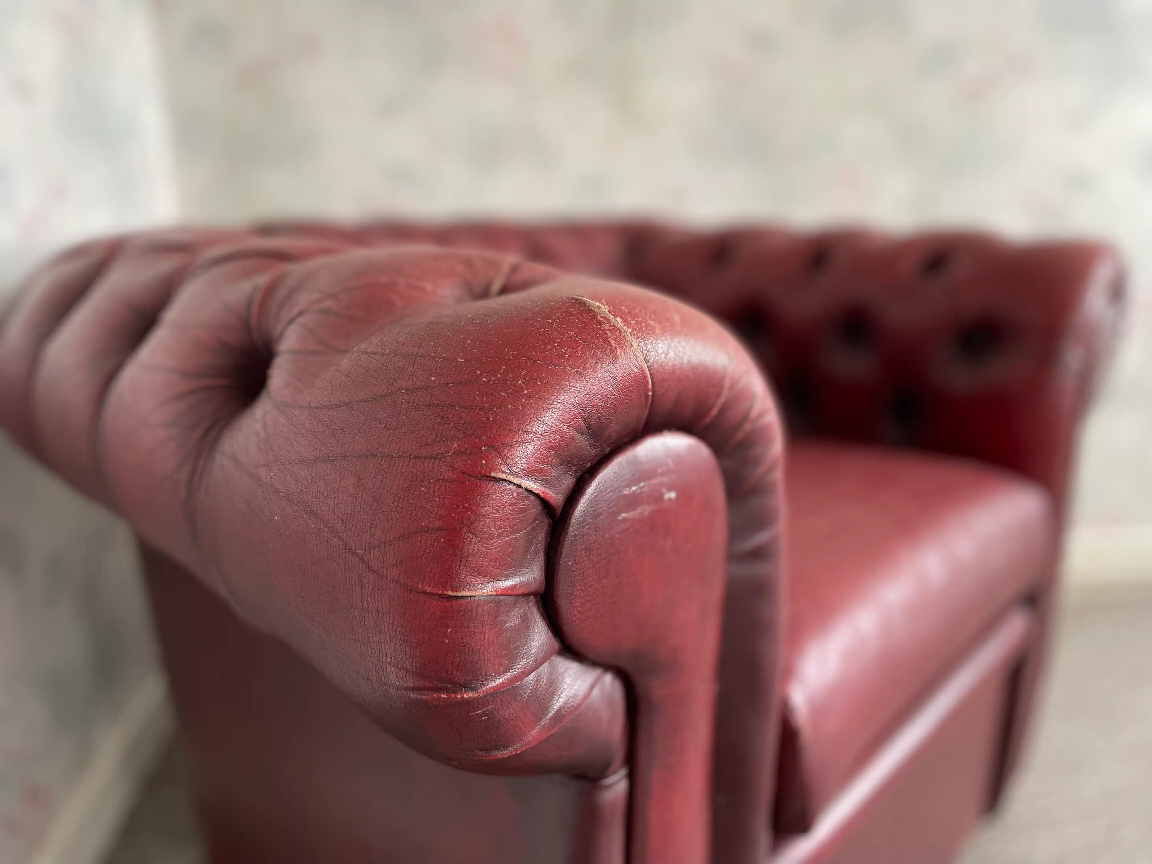 Authentiek stationspand in het landelijk Velm. foto 17