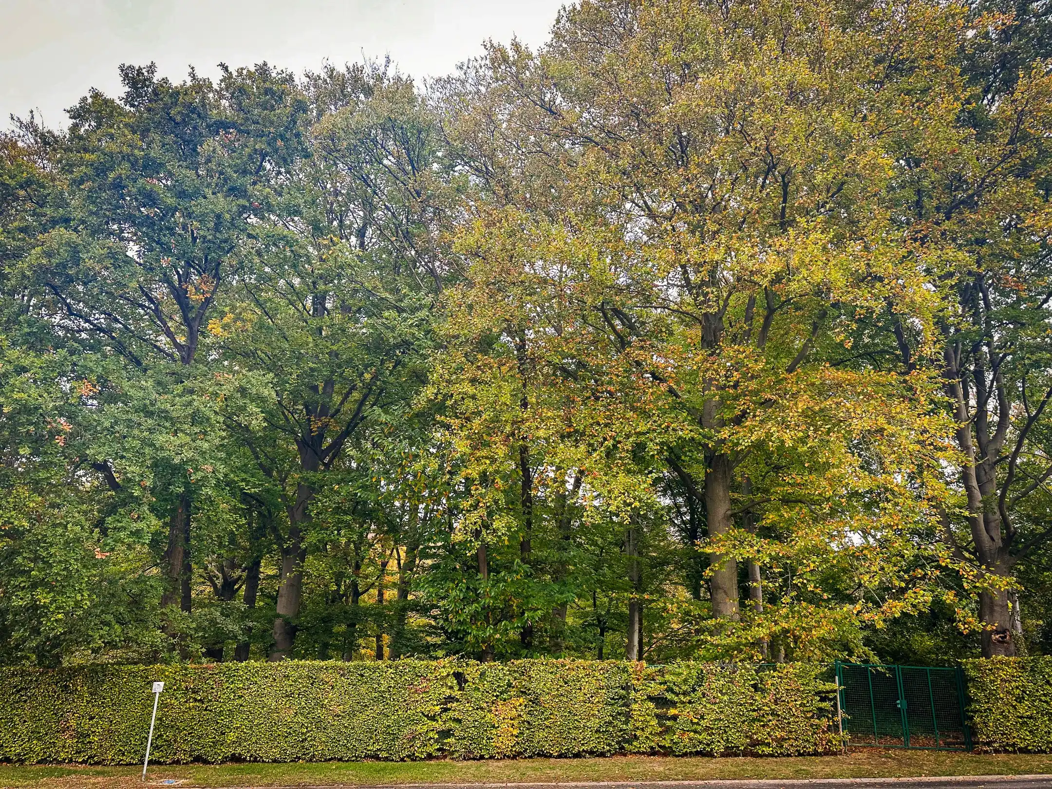 Prachtig perceel op unieke locatie! foto 4