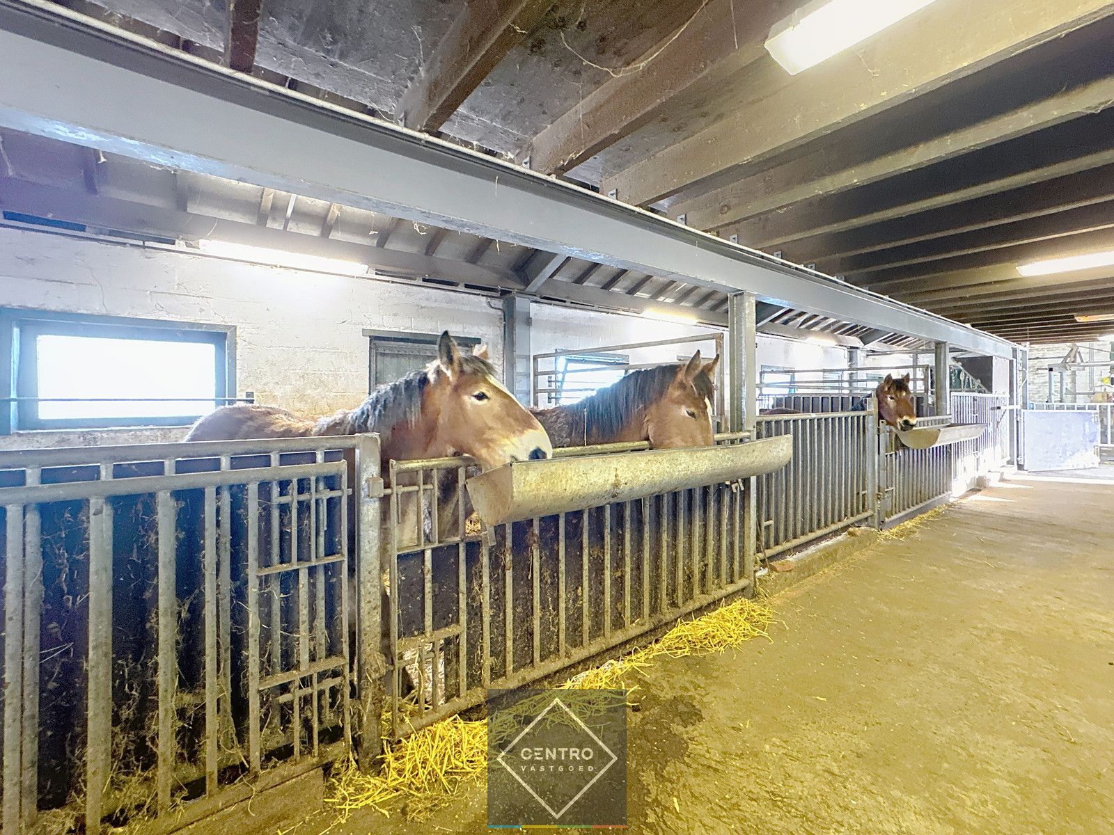 UNIEK gelegen hoeve op TOPligging te Zuienkerke! foto 7