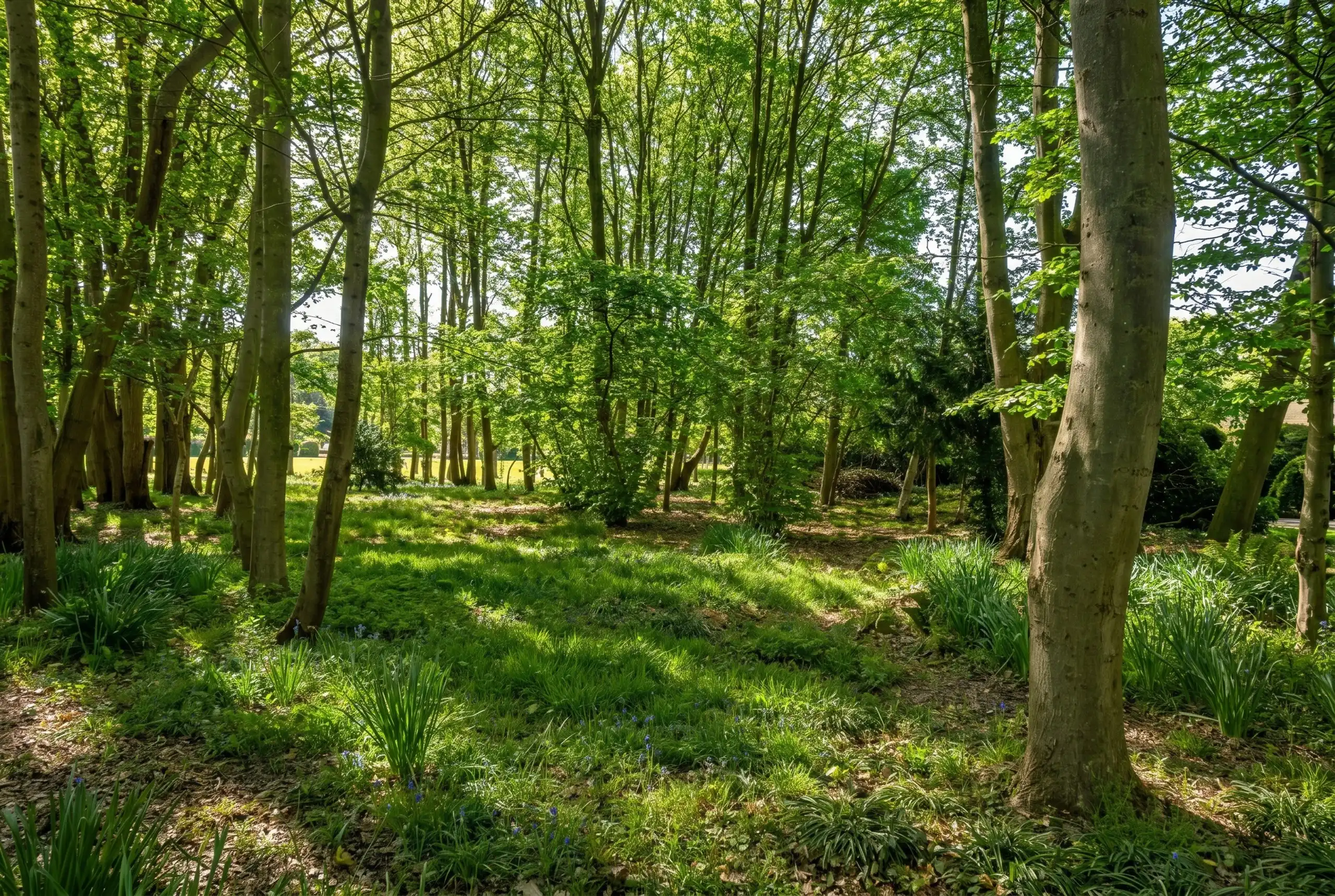 Exclusieve villa met bos, zicht  en  unieke geschiedenis! foto 5