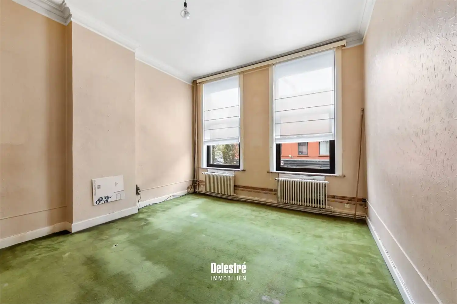 Een polyvalente eigendom met ontwikkelingspotentieel, véél ruimte en een toplocatie foto 15