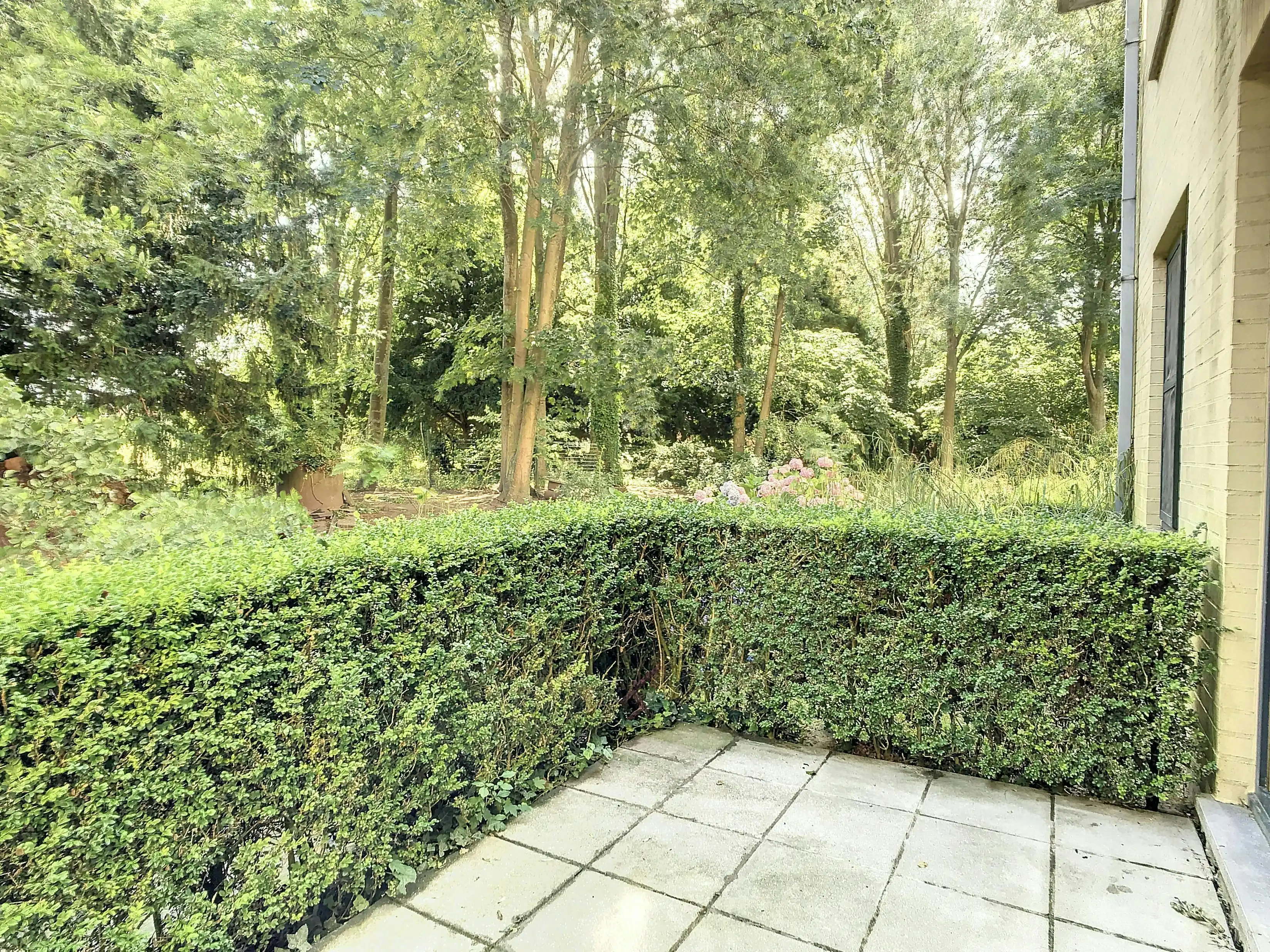 Assistentieflat met terras te koop in Brugge foto 3