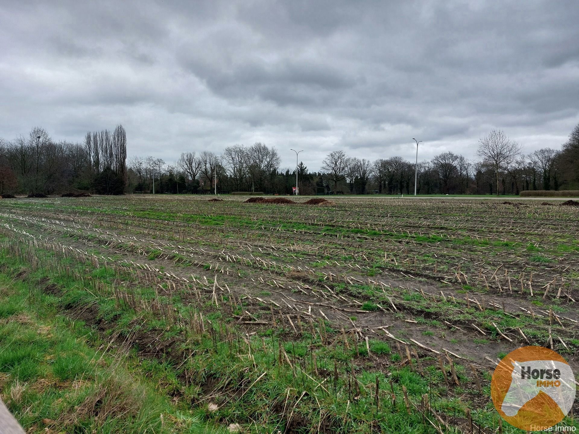 ZONHOVEN - Mooi perceel bouwgrond met achterliggend weiland foto 8